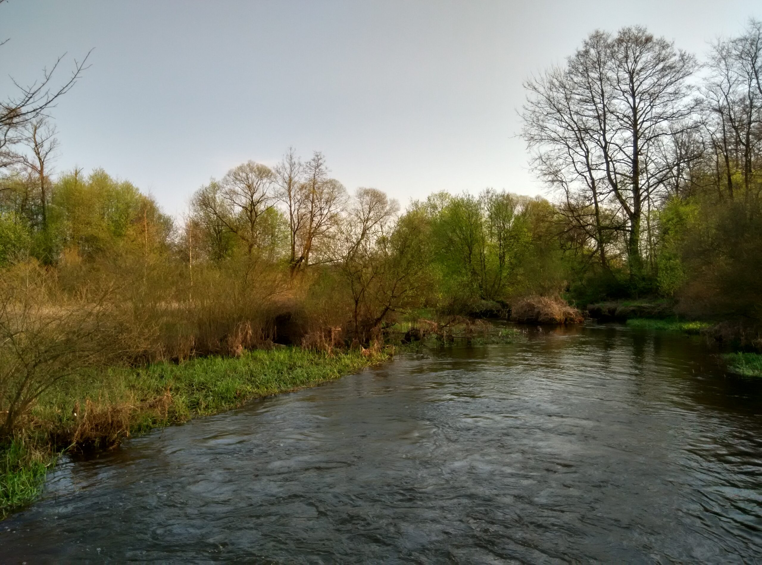 IMG_20160413_172745_HDR