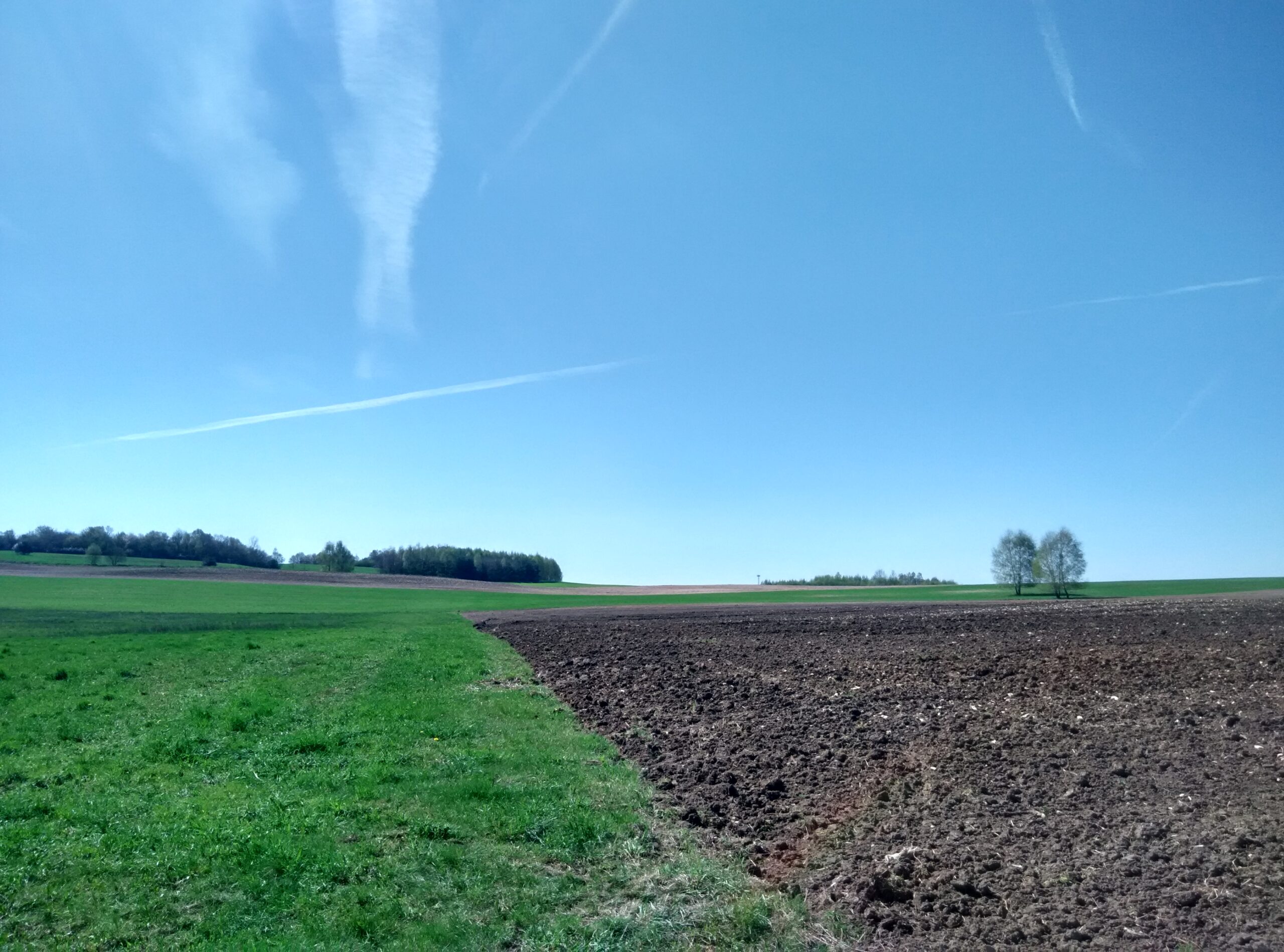 IMG_20160417_114439_HDR