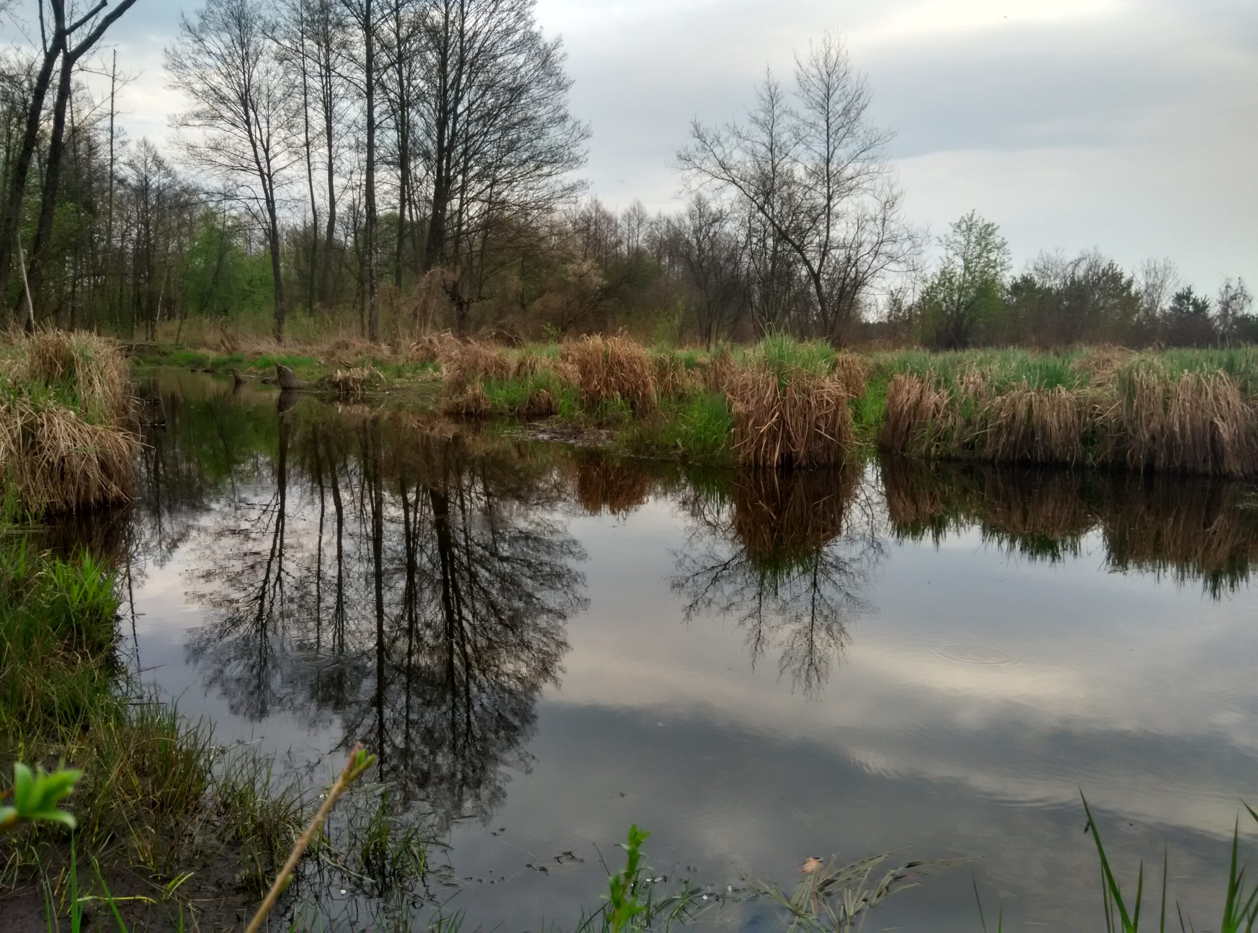 IMG_20160417_170245_HDR