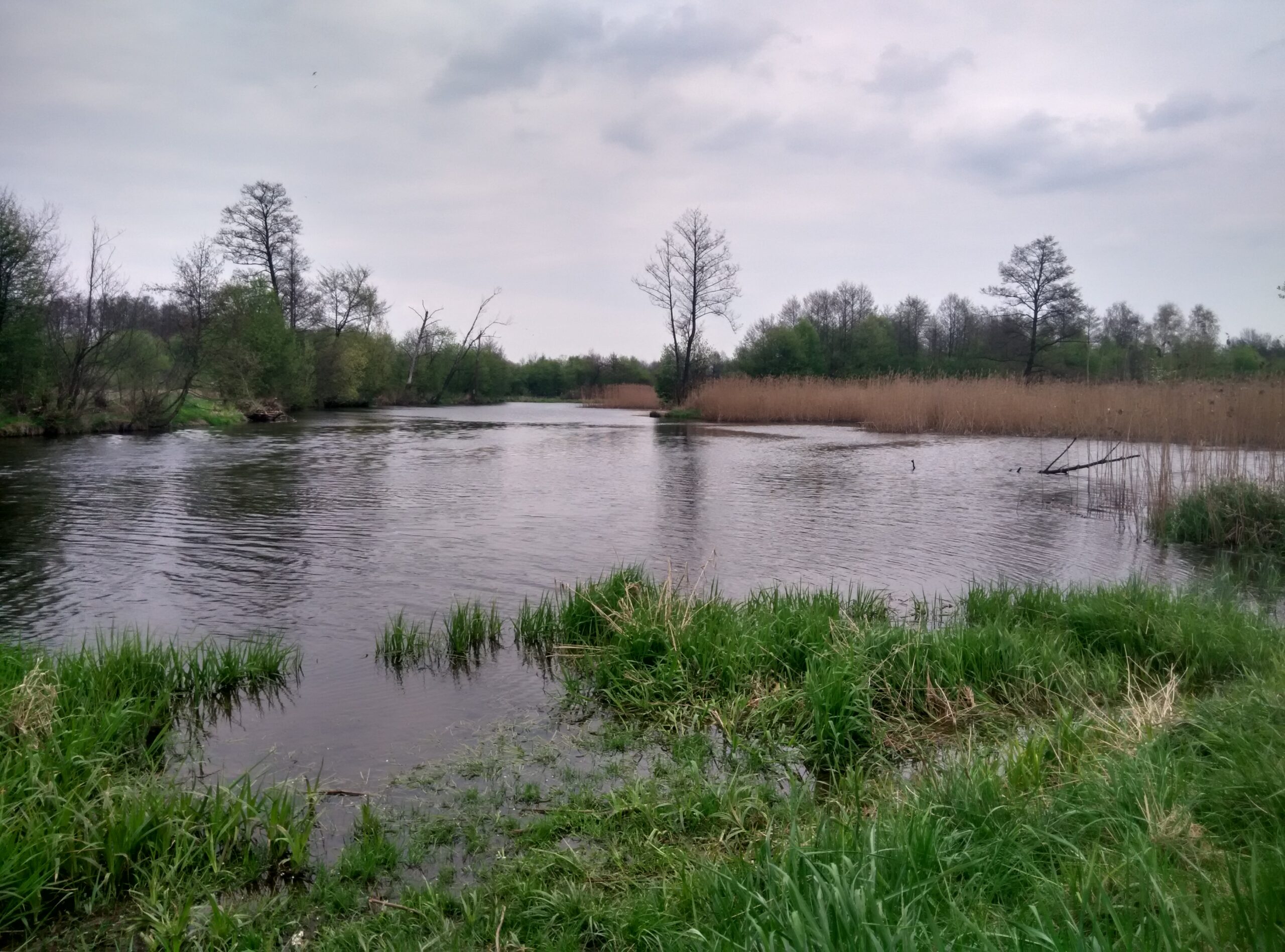 IMG_20160419_155443_HDR