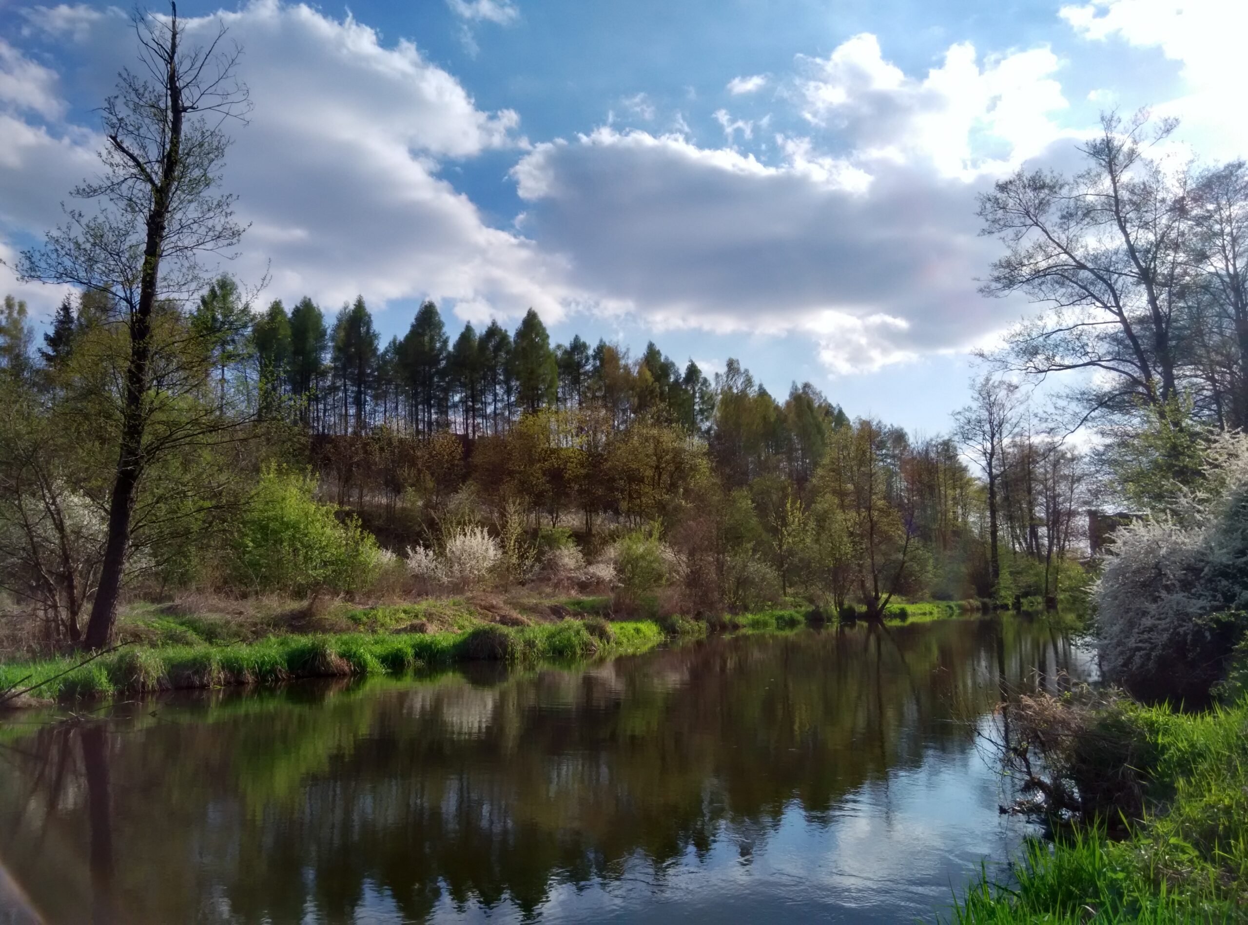 IMG_20160422_171116_HDR