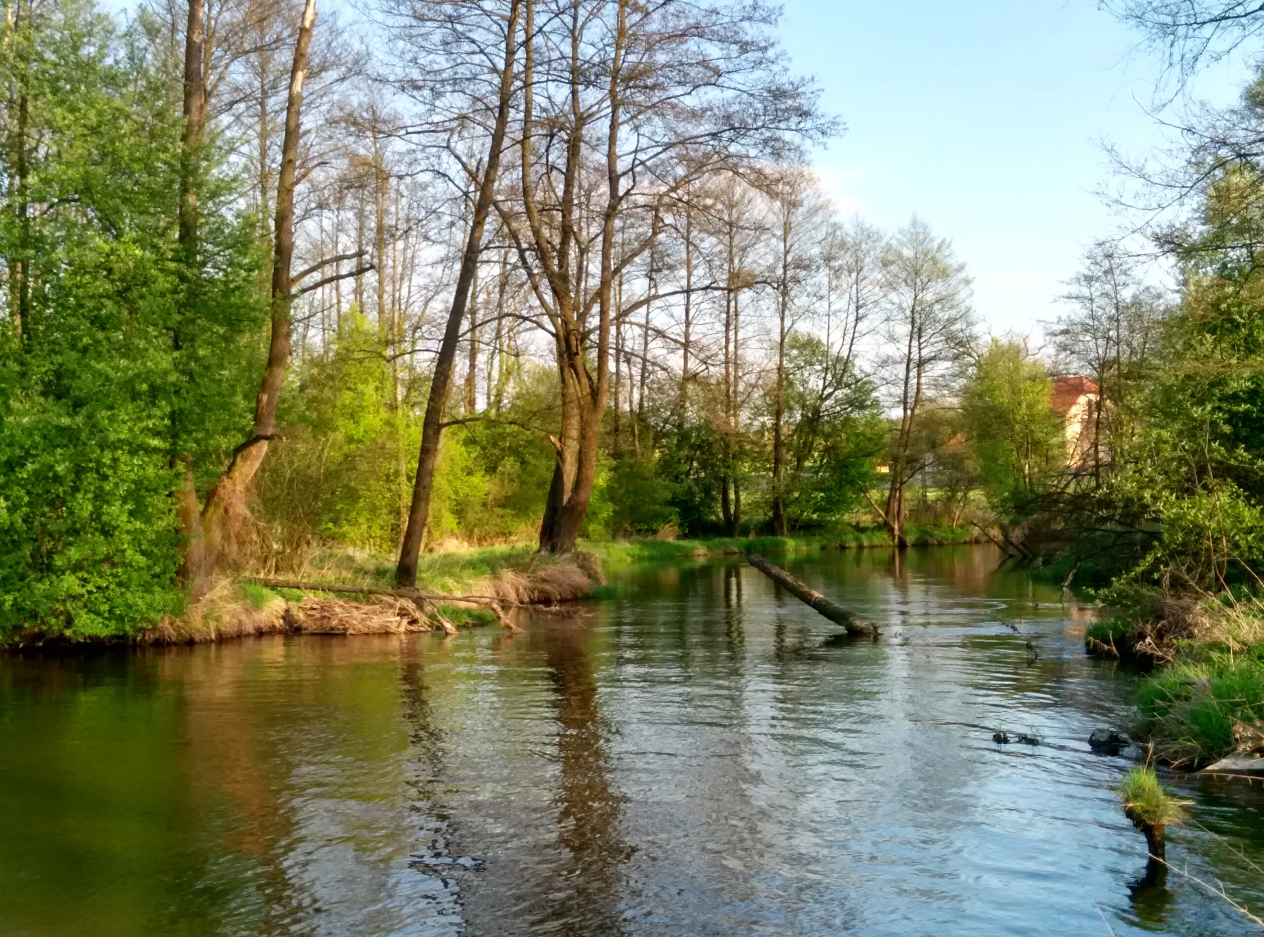 IMG_20160422_174252_HDR