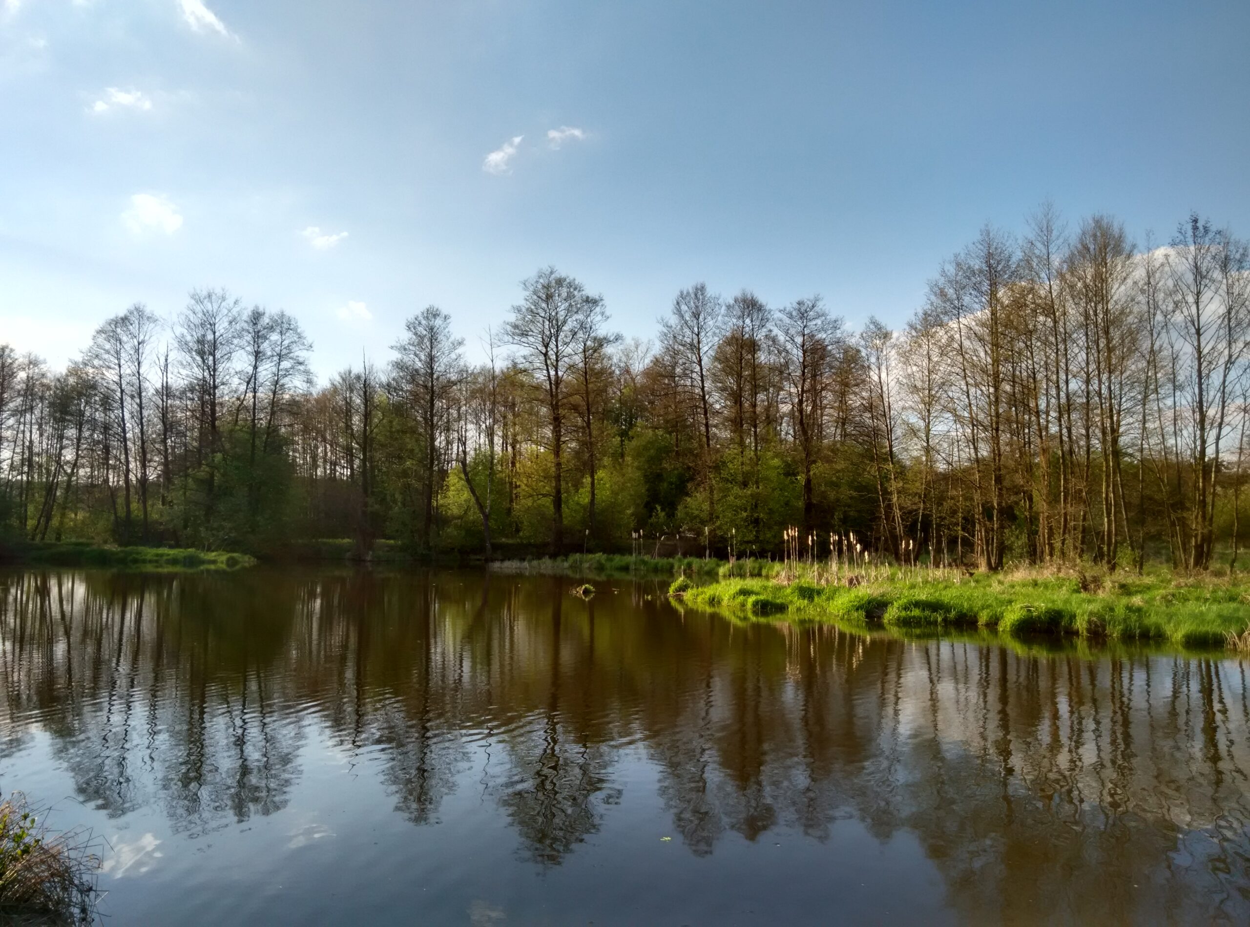 IMG_20160422_175328_HDR