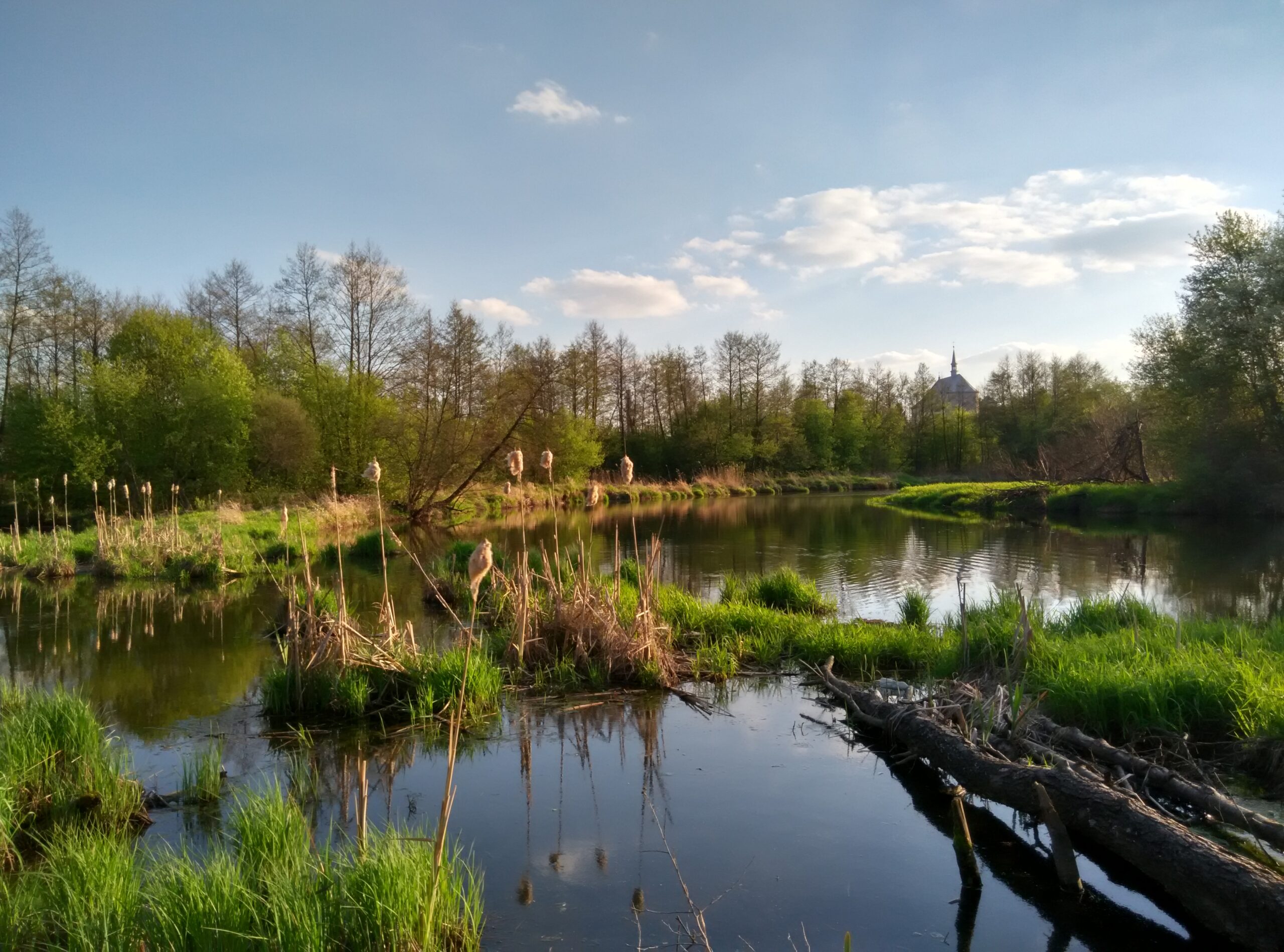 IMG_20160422_175449_HDR
