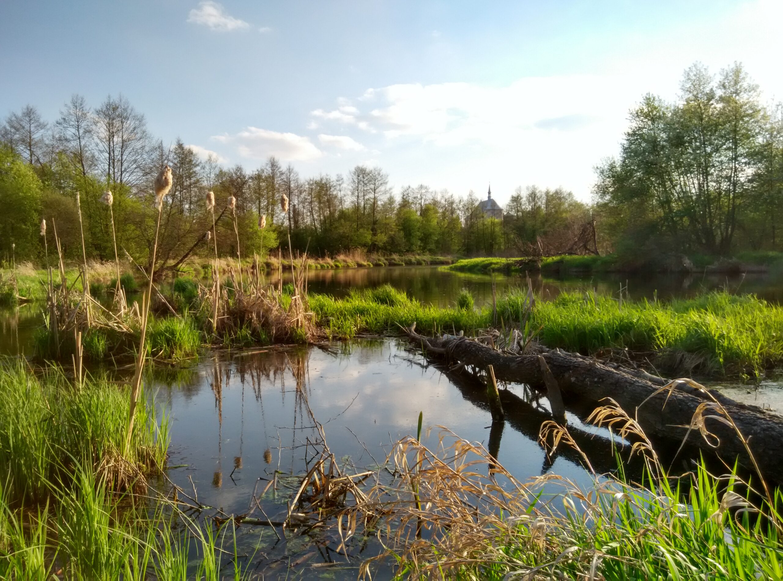 IMG_20160422_175521_HDR