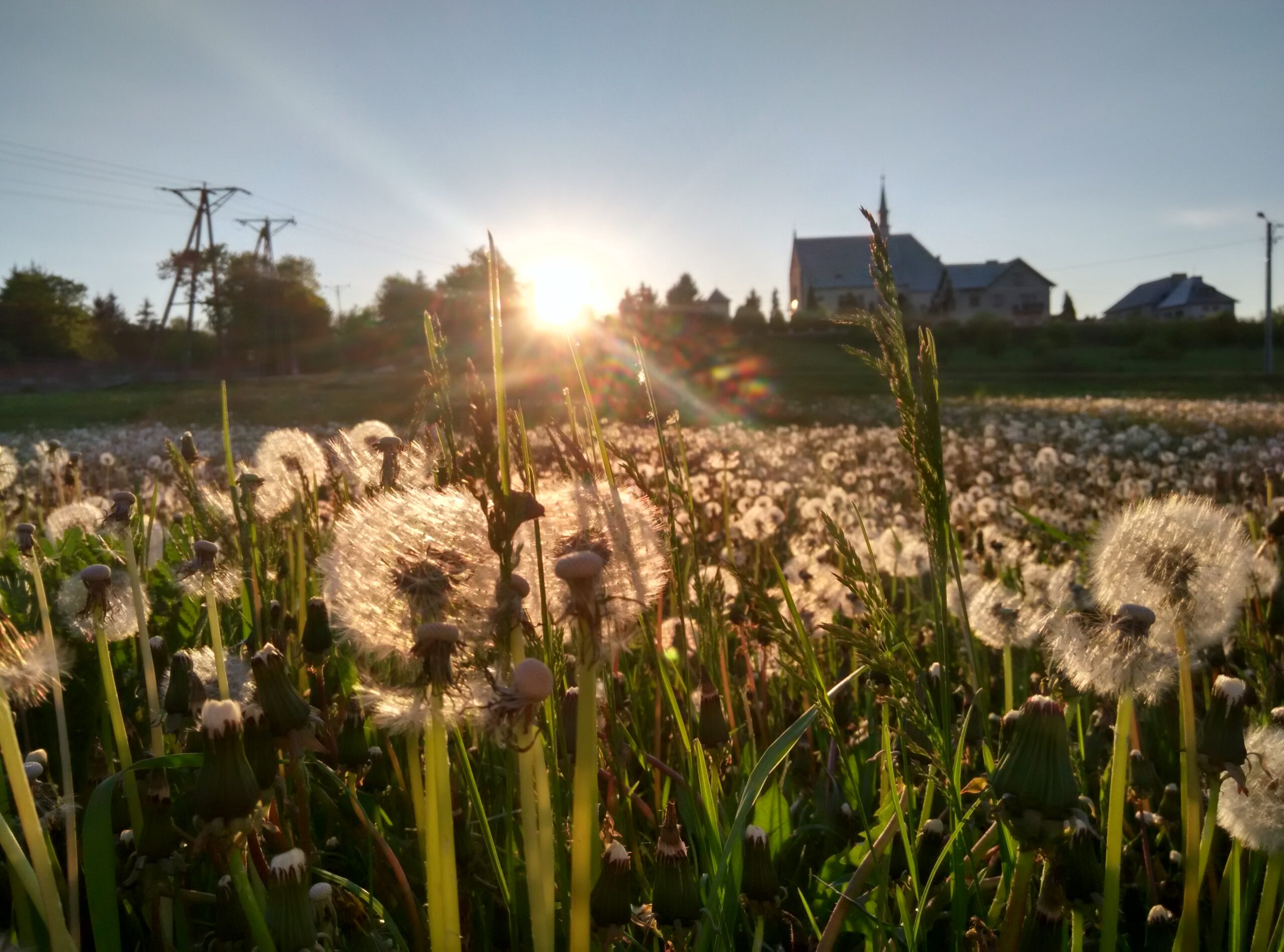 IMG_20160511_192140_HDR