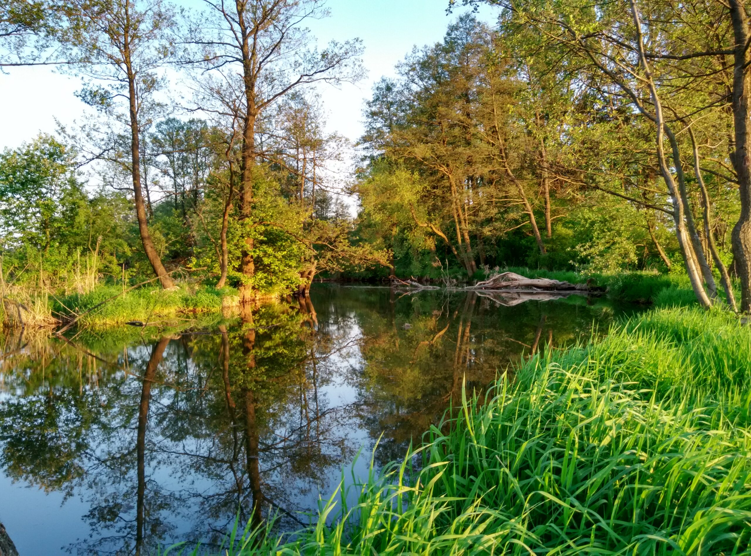 IMG_20160511_194115_HDR