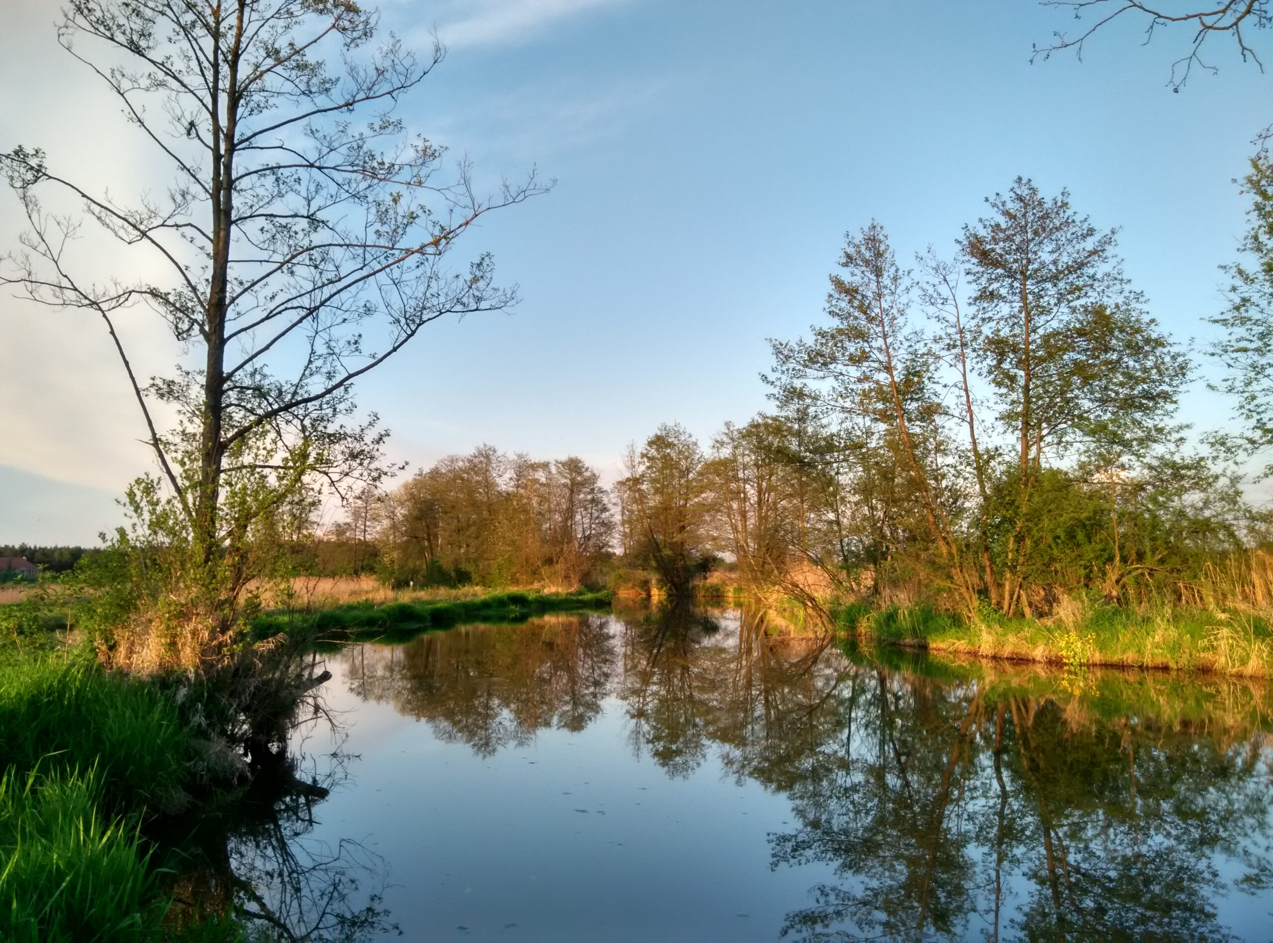 IMG_20160511_194134_HDR