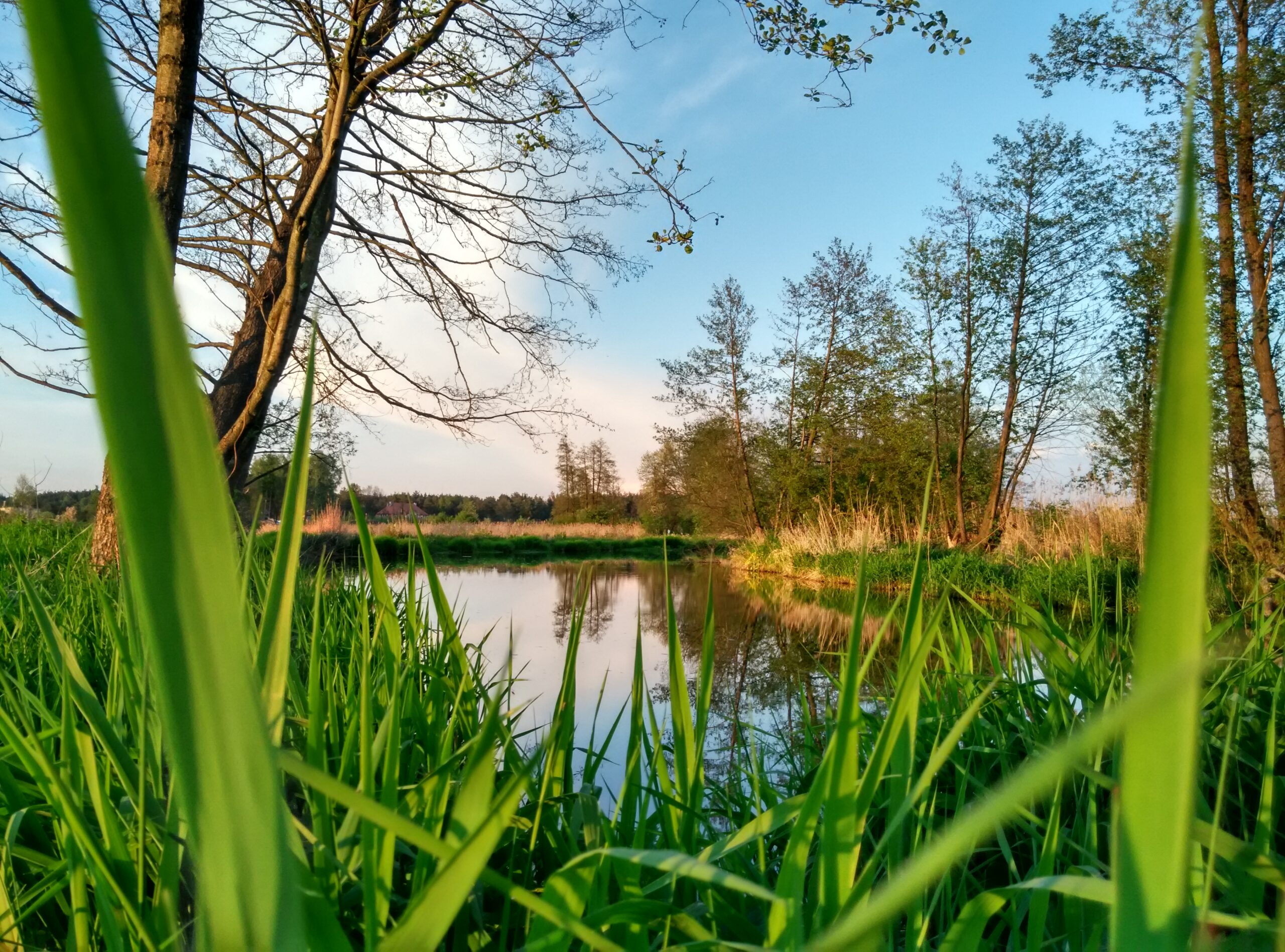 IMG_20160511_194429_HDR