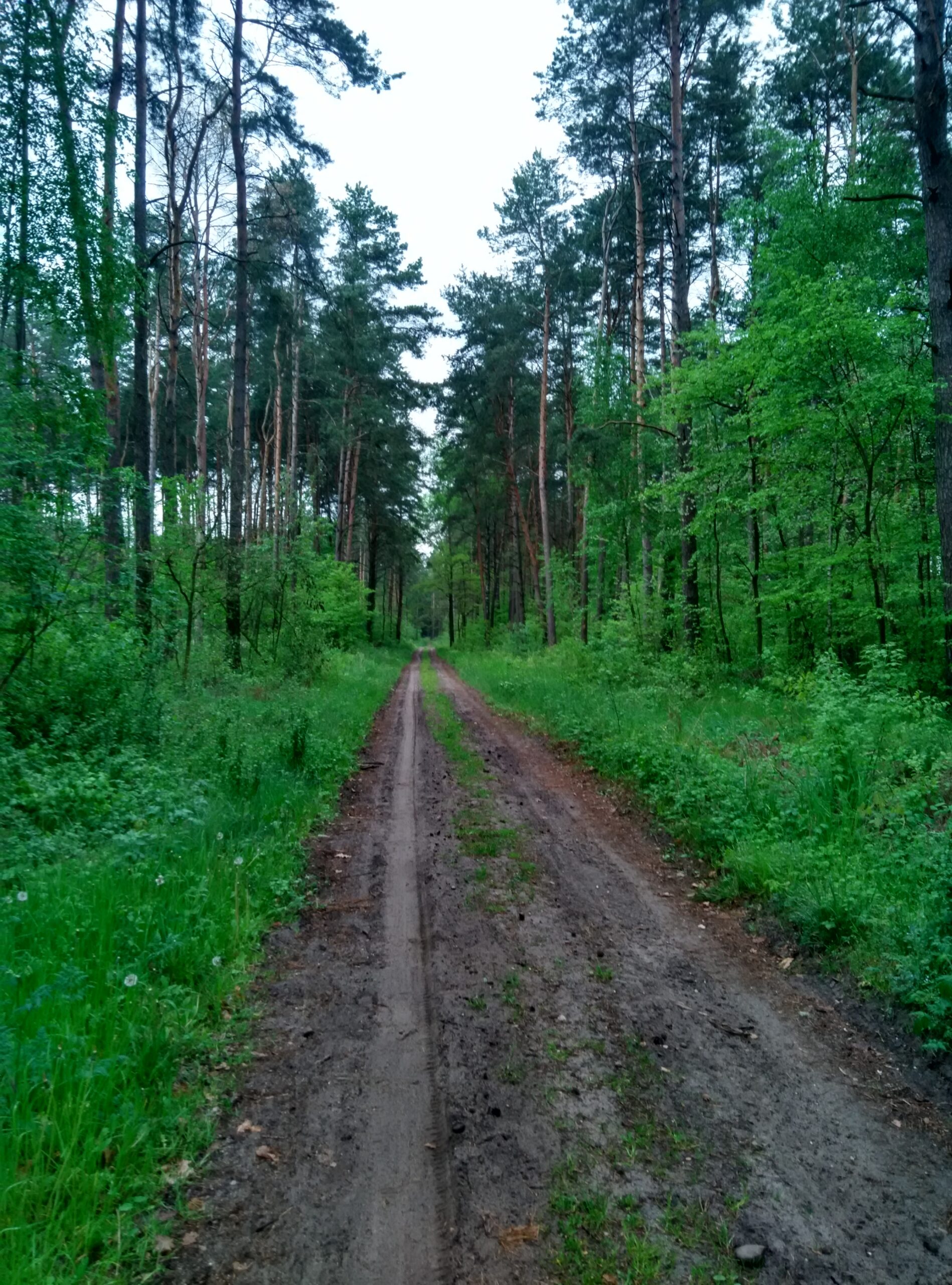 IMG_20160513_184016_HDR