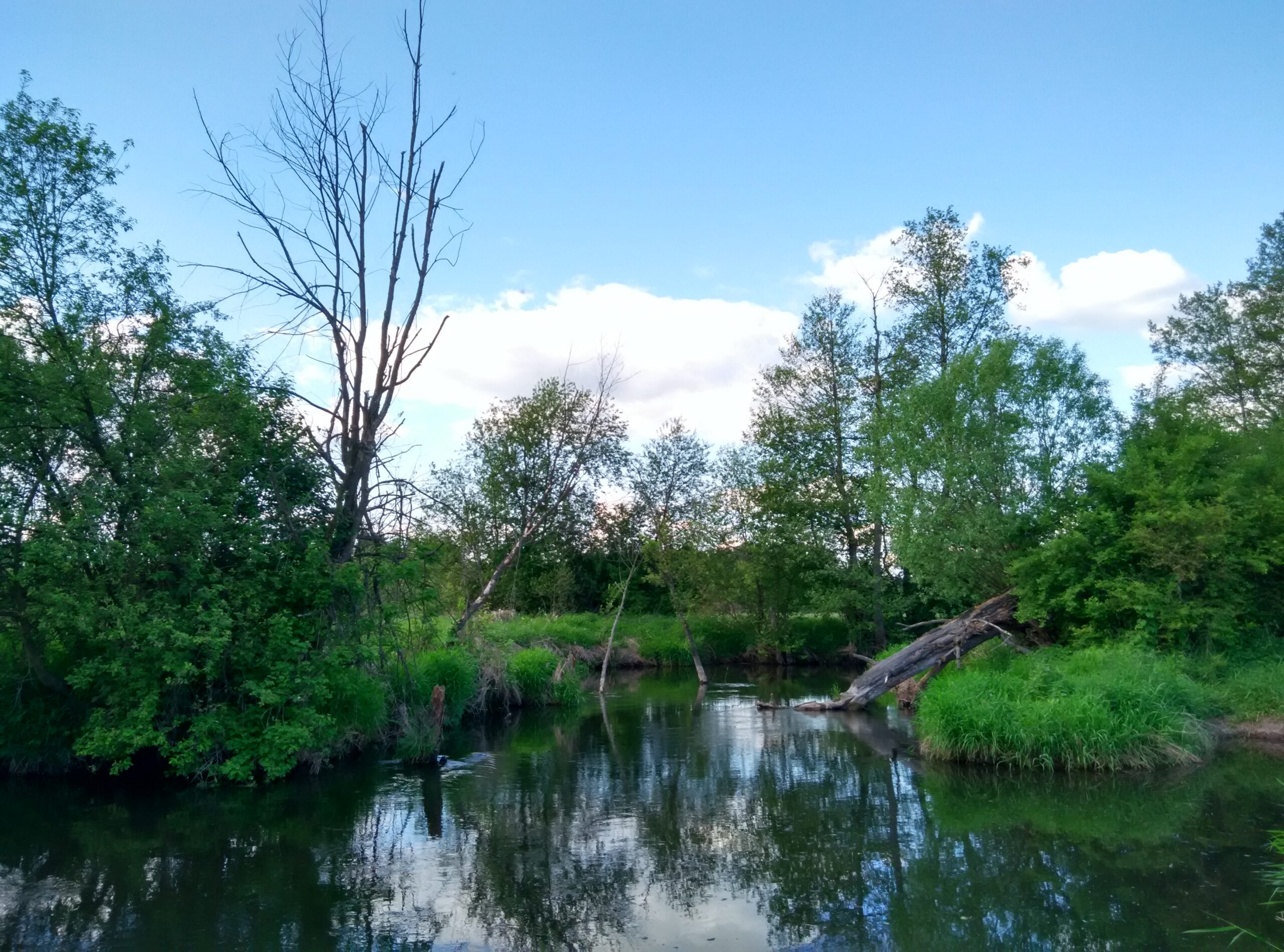 IMG_20160515_174904_HDR