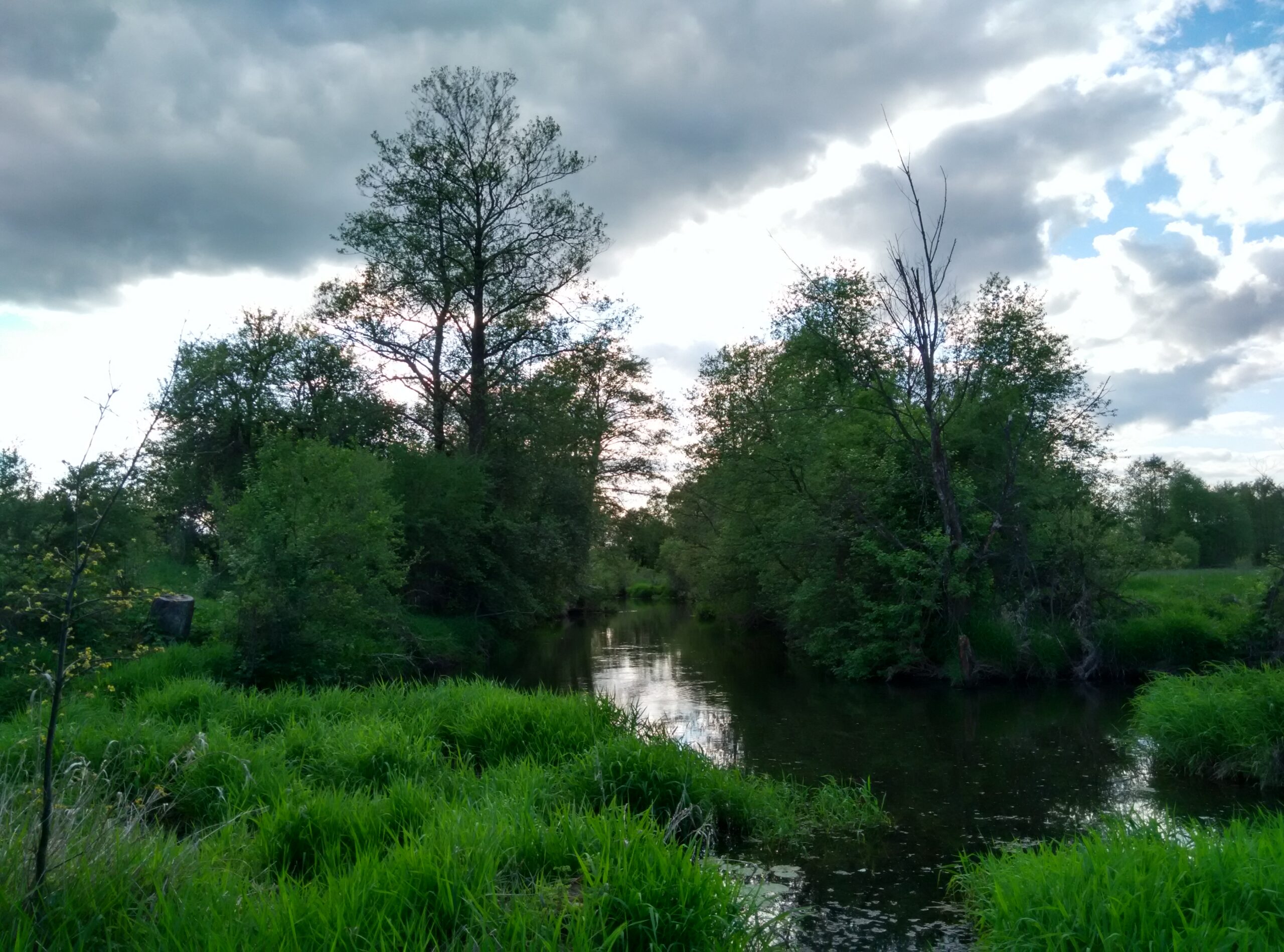 IMG_20160515_174949_HDR