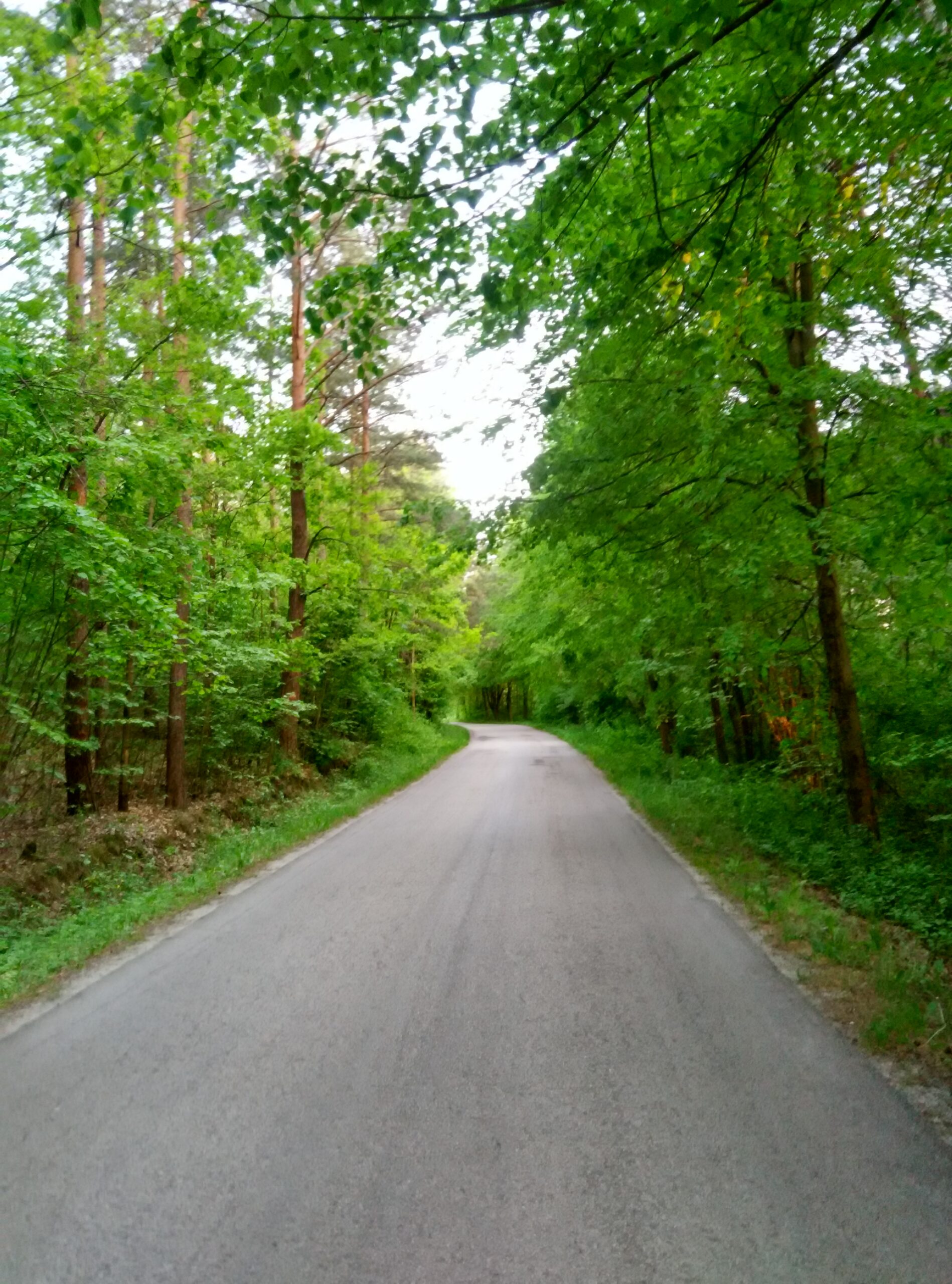 IMG_20160524_195723_HDR