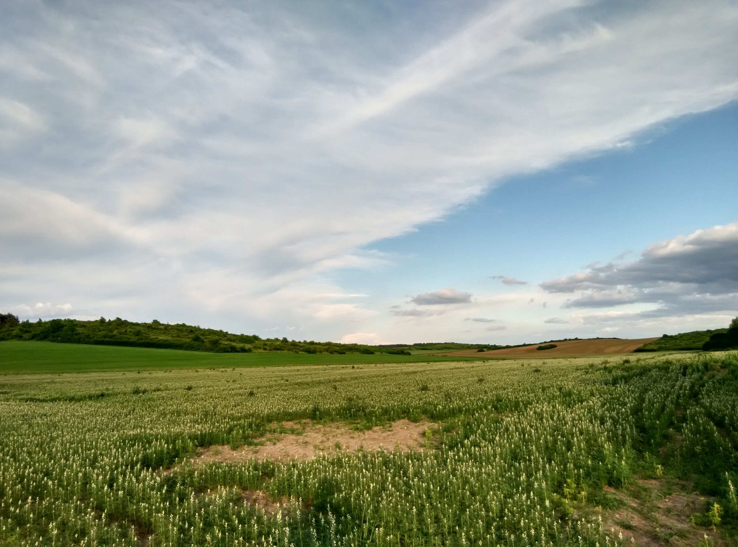 IMG_20160601_191927_HDR