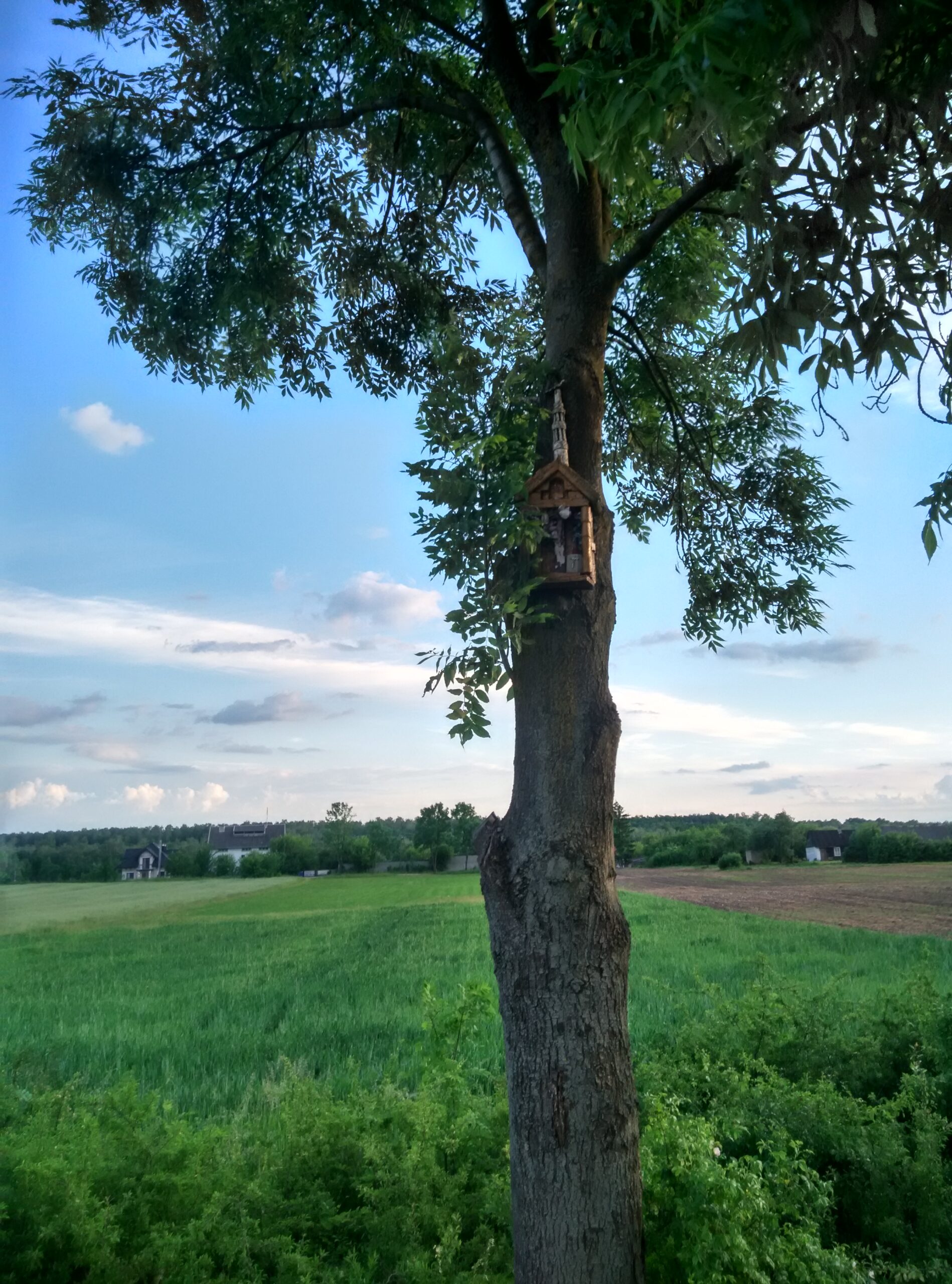 IMG_20160601_194649_HDR