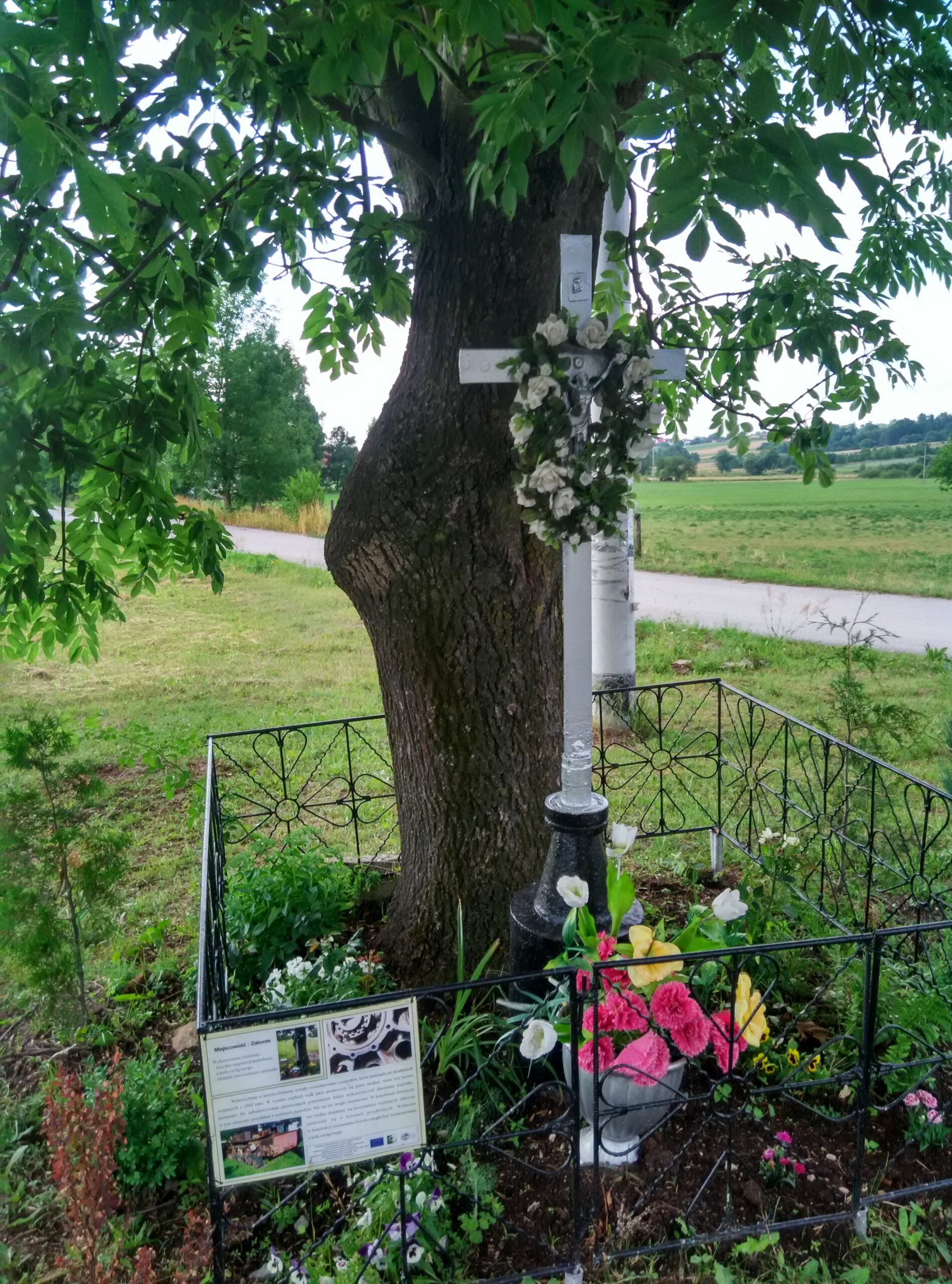 IMG_20160703_173348_HDR