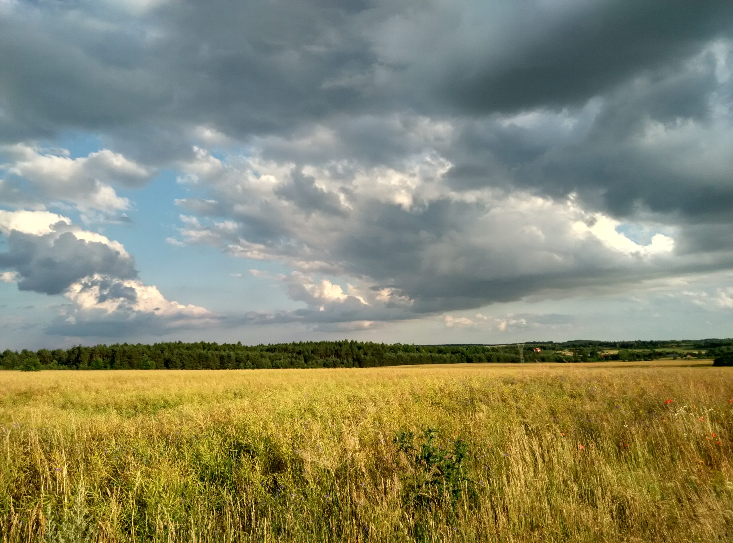IMG_20160703_190553_HDR