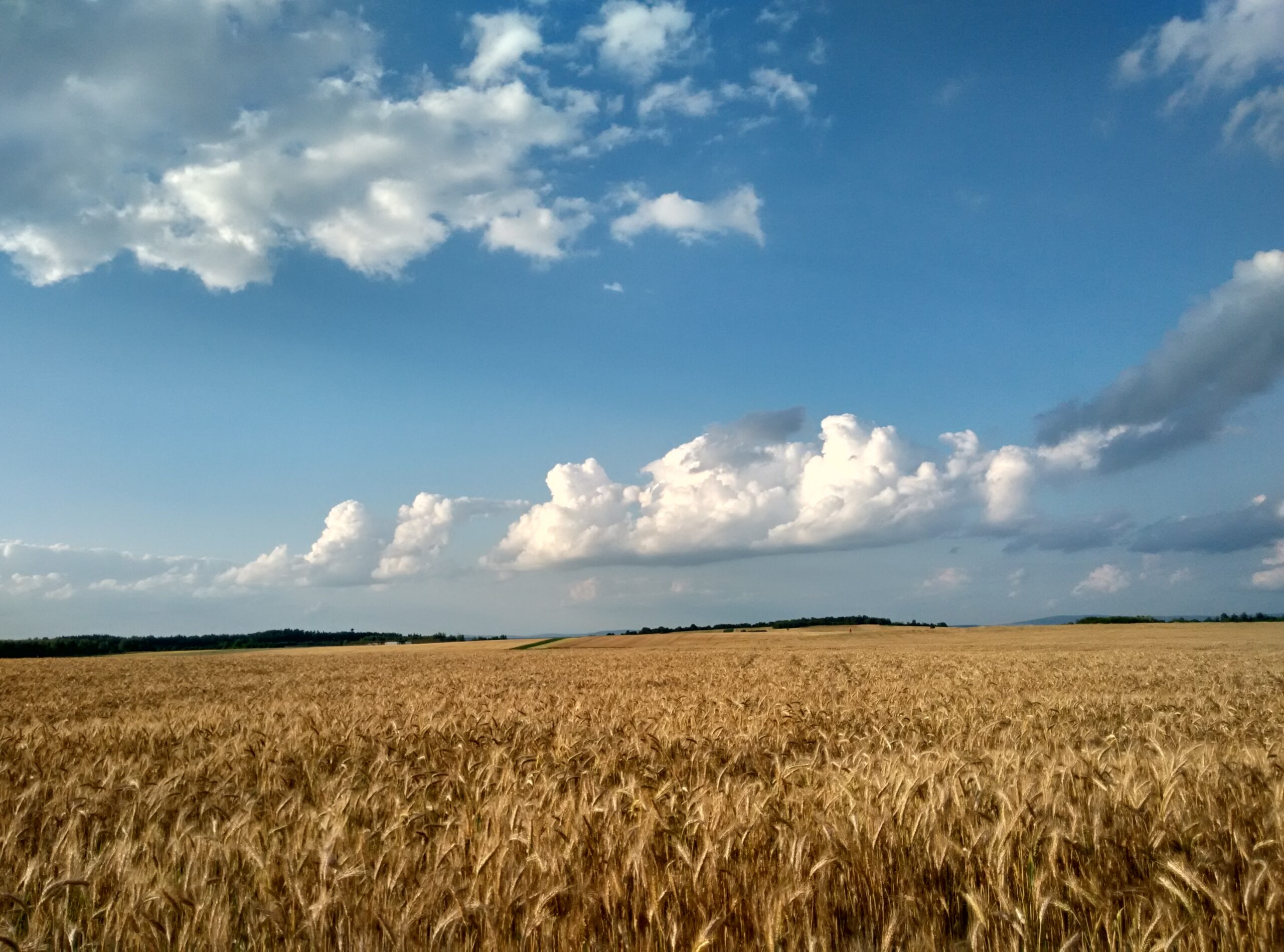 IMG_20160703_191006_HDR
