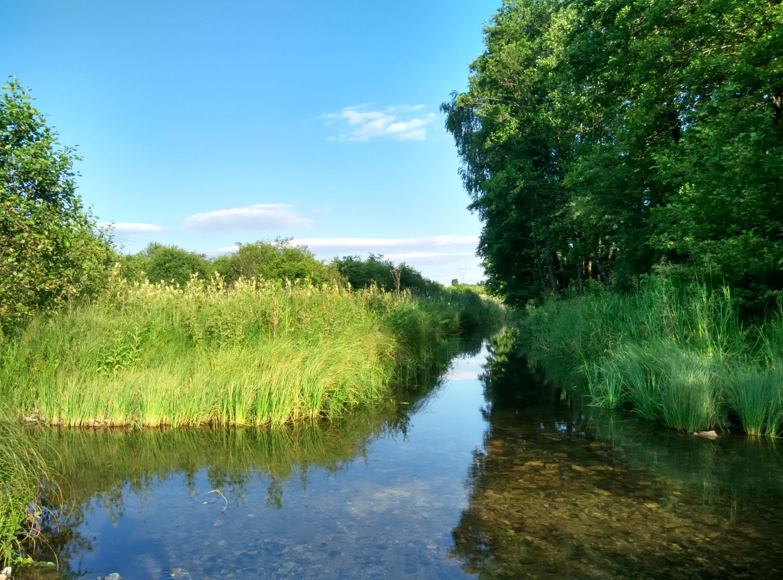 IMG_20160710_183313_HDR