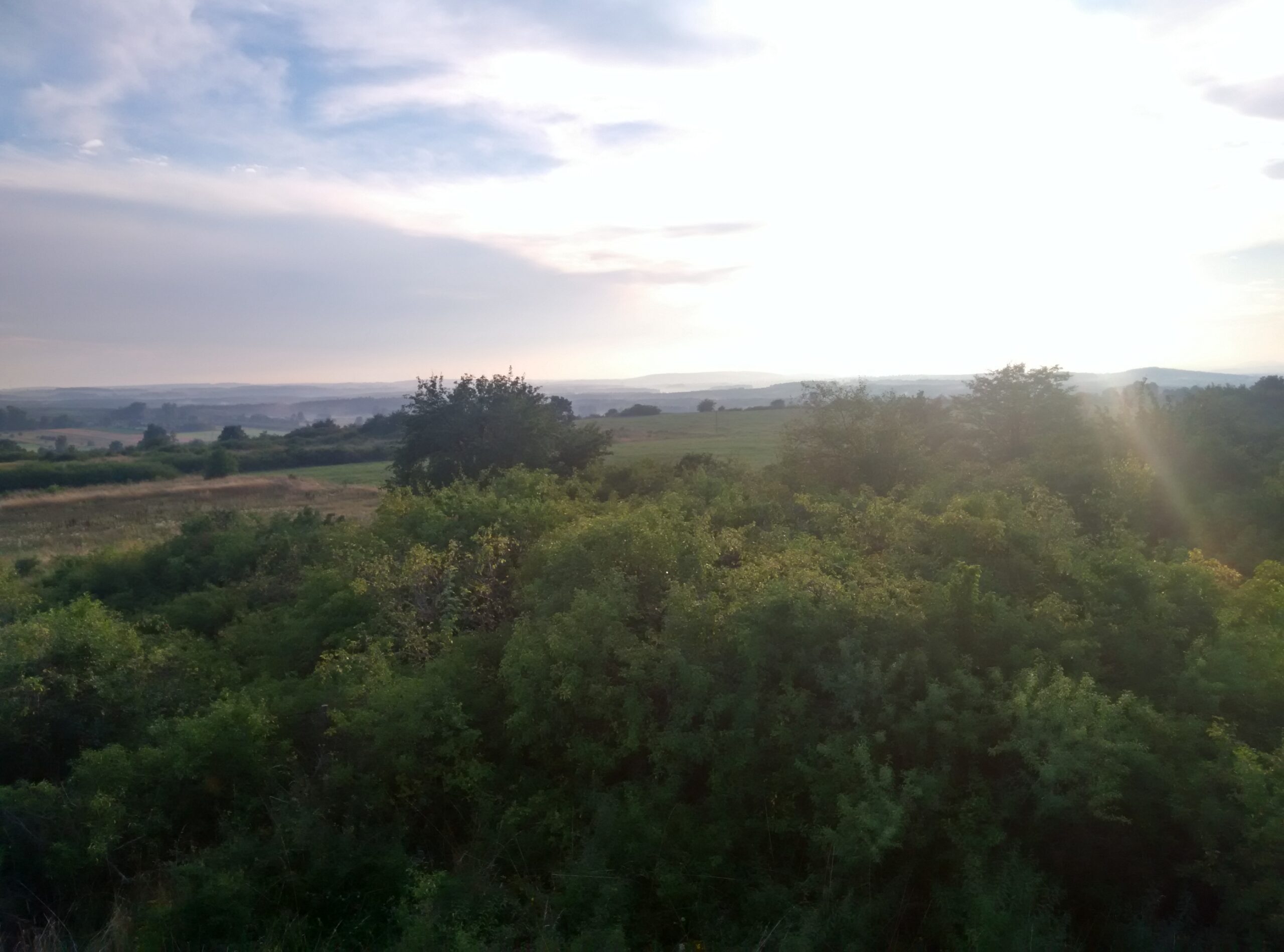 IMG_20160729_191452_HDR