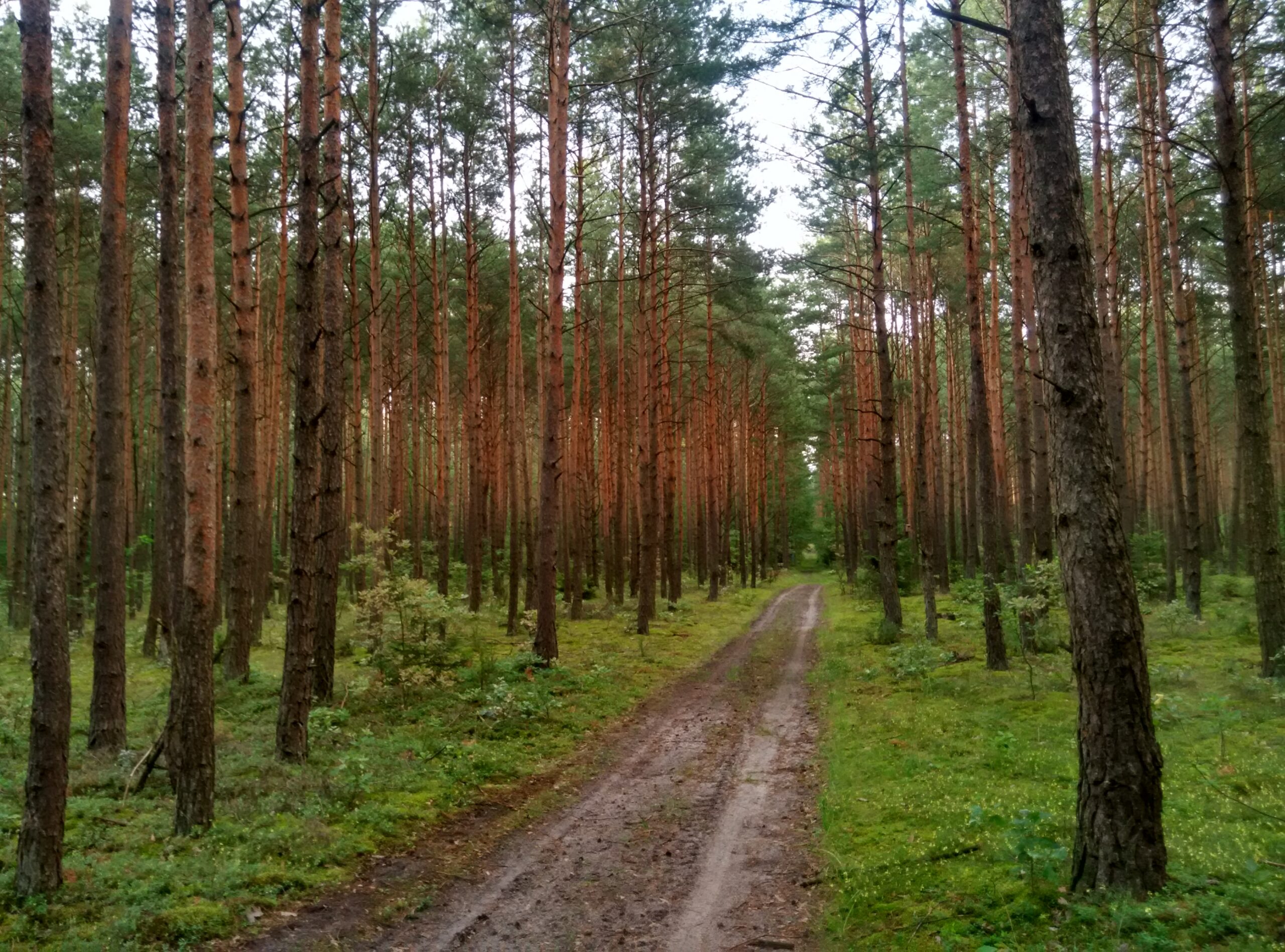 IMG_20160801_191440_HDR