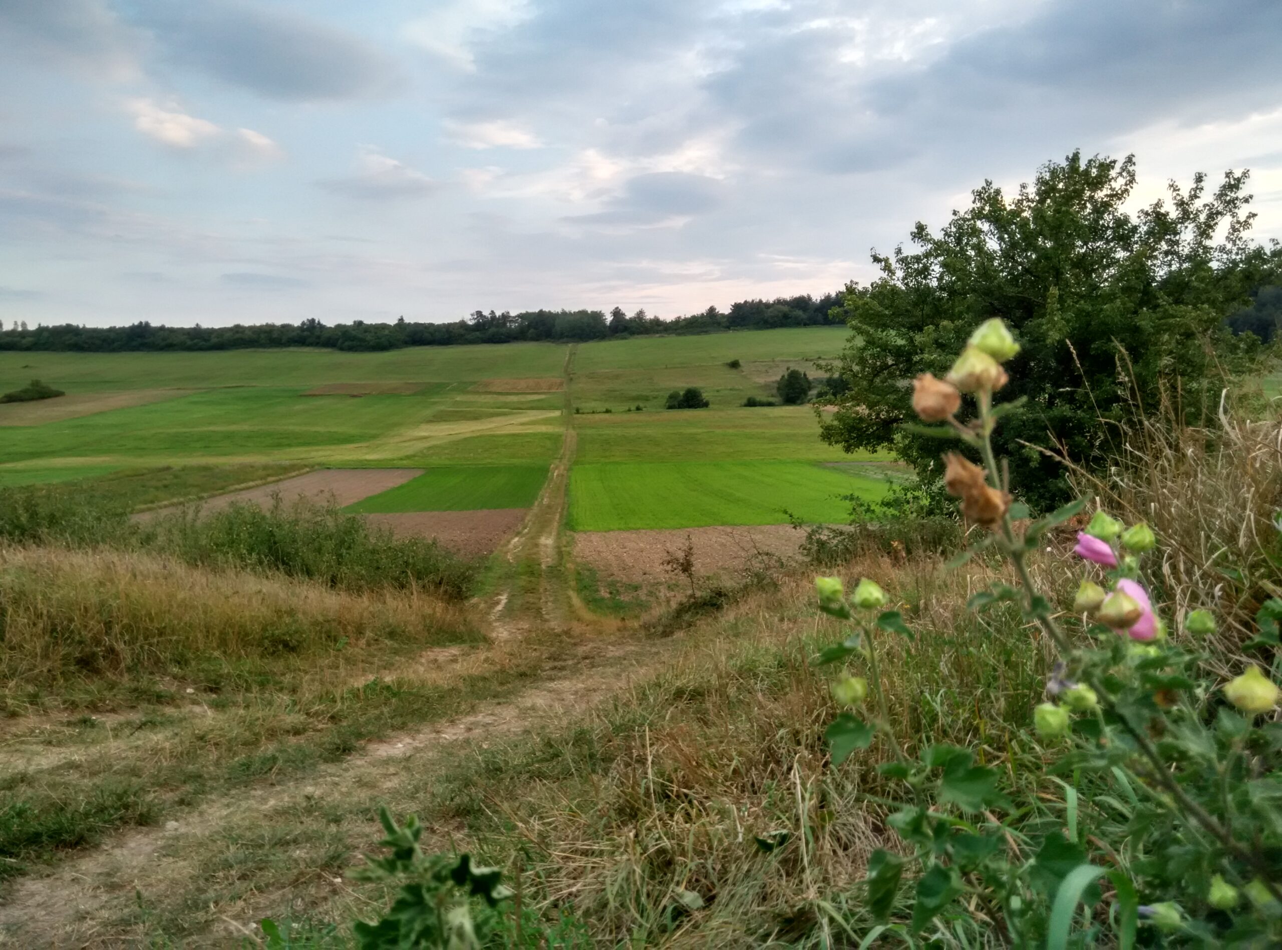 IMG_20160904_181747_HDR