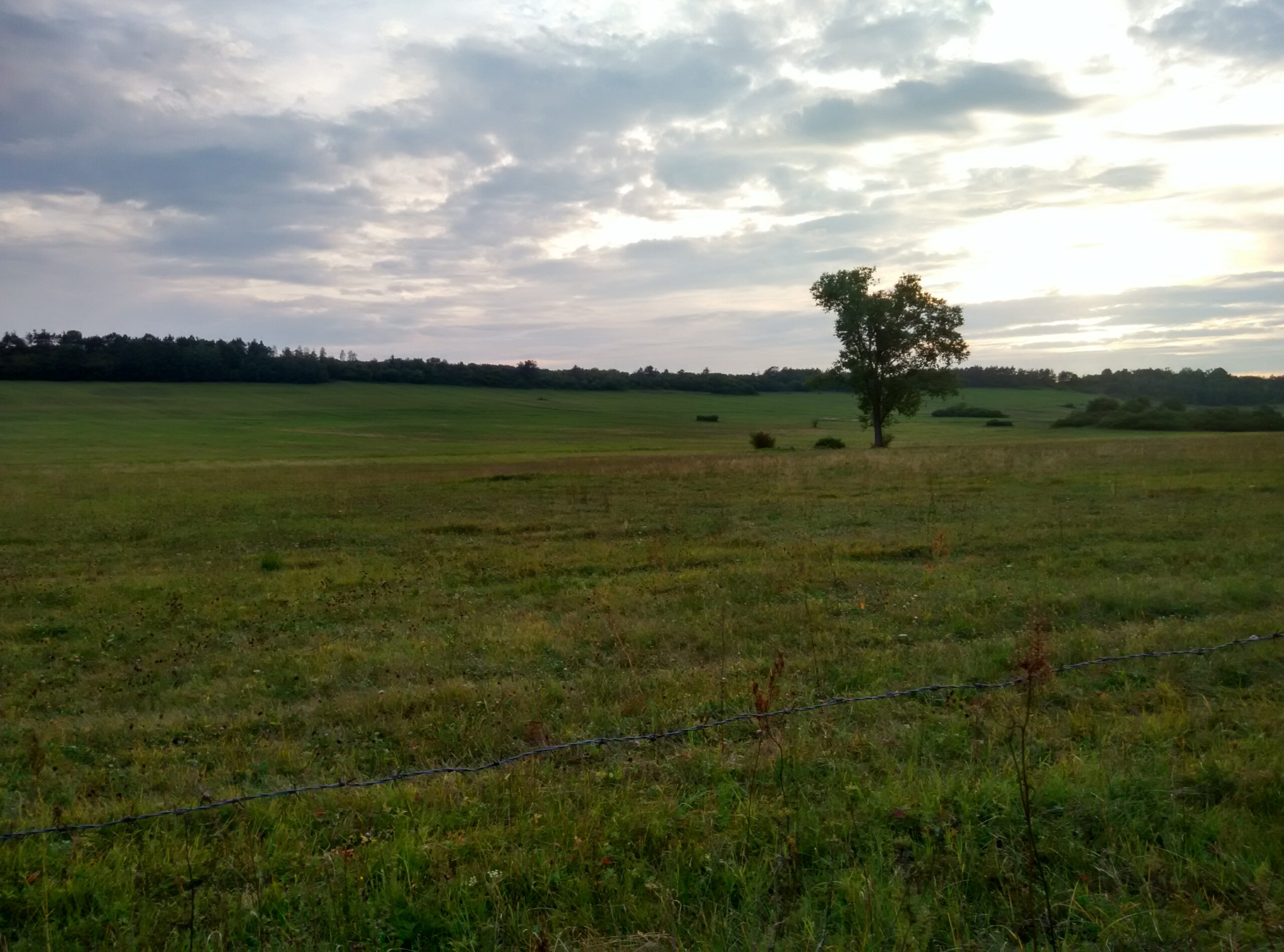 IMG_20160904_182713_HDR