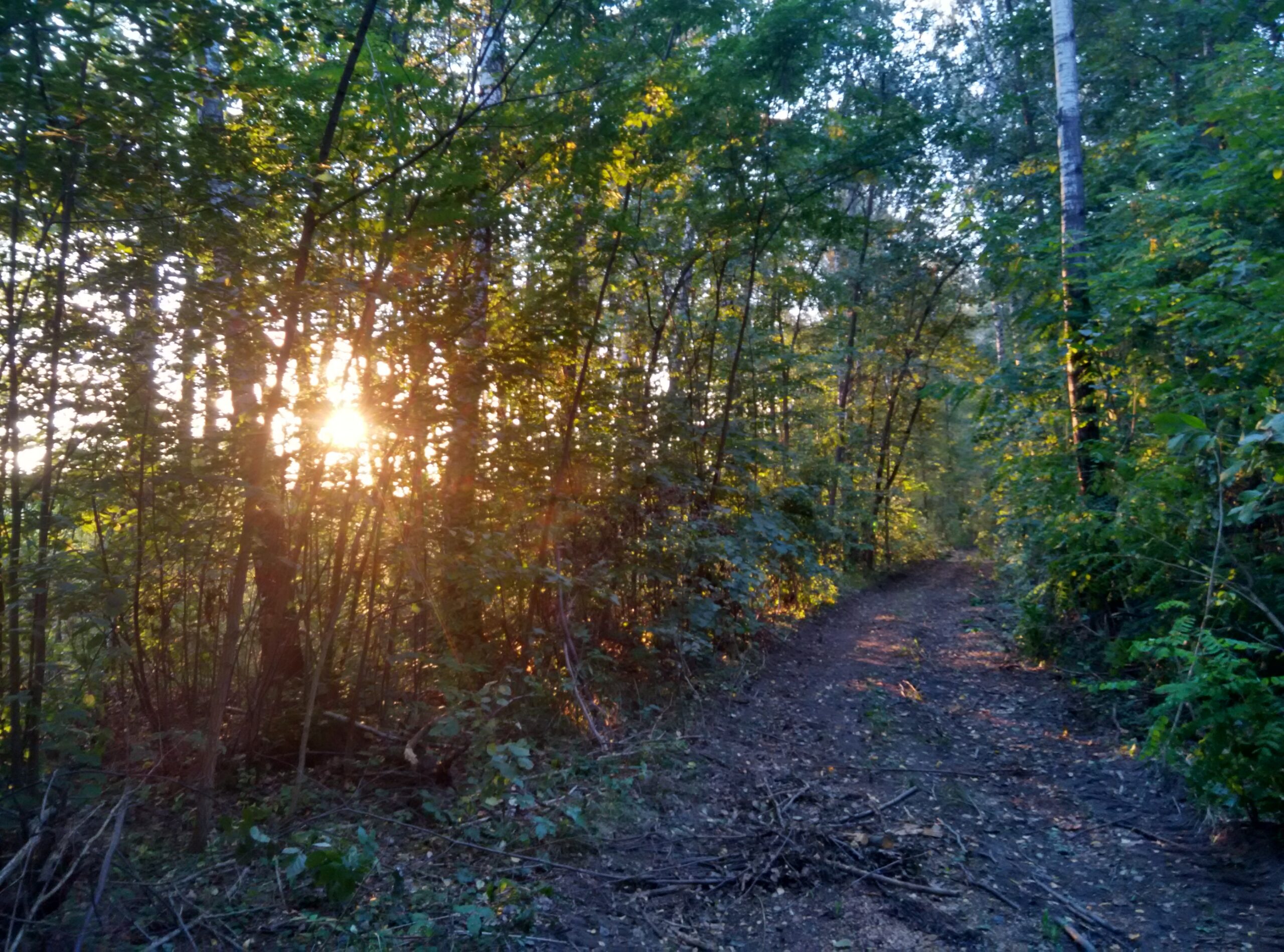 IMG_20160922_175708_HDR