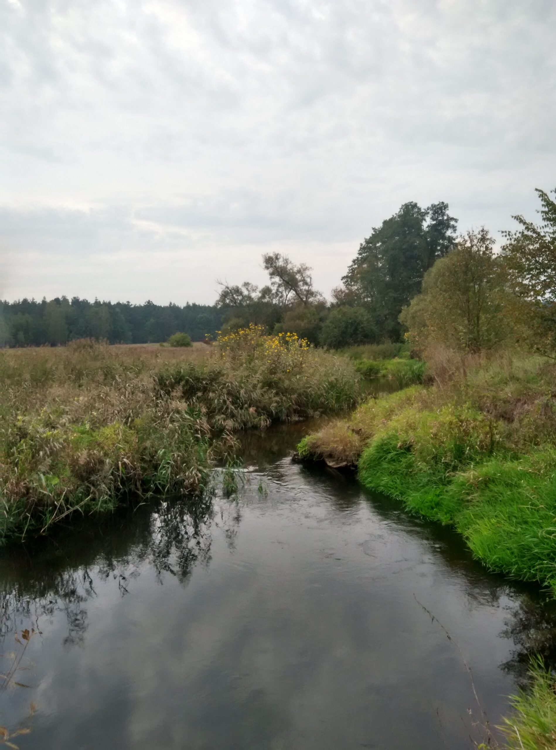 IMG_20160928_174112_HDR