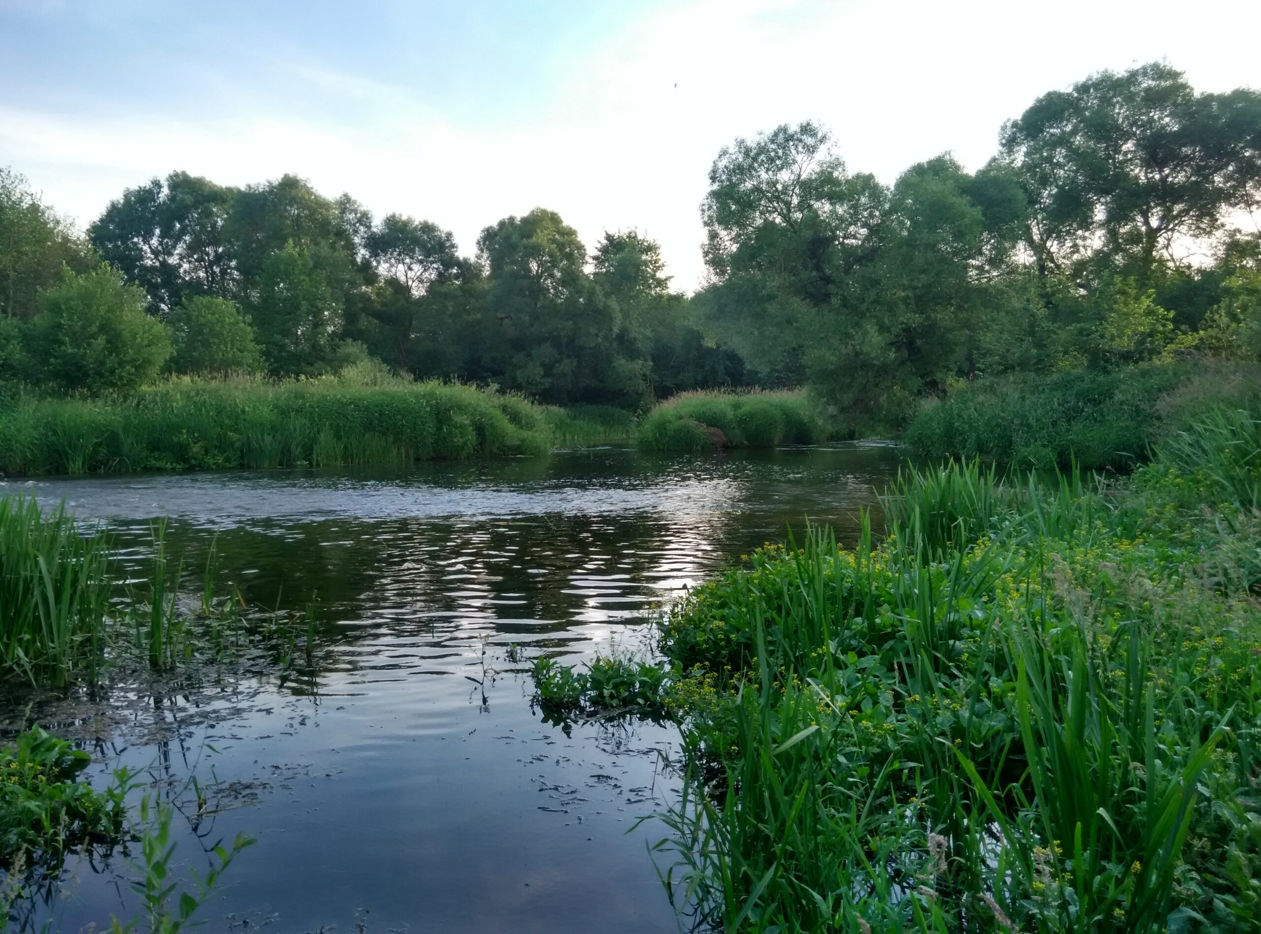 IMG_20170621_193936_HDR