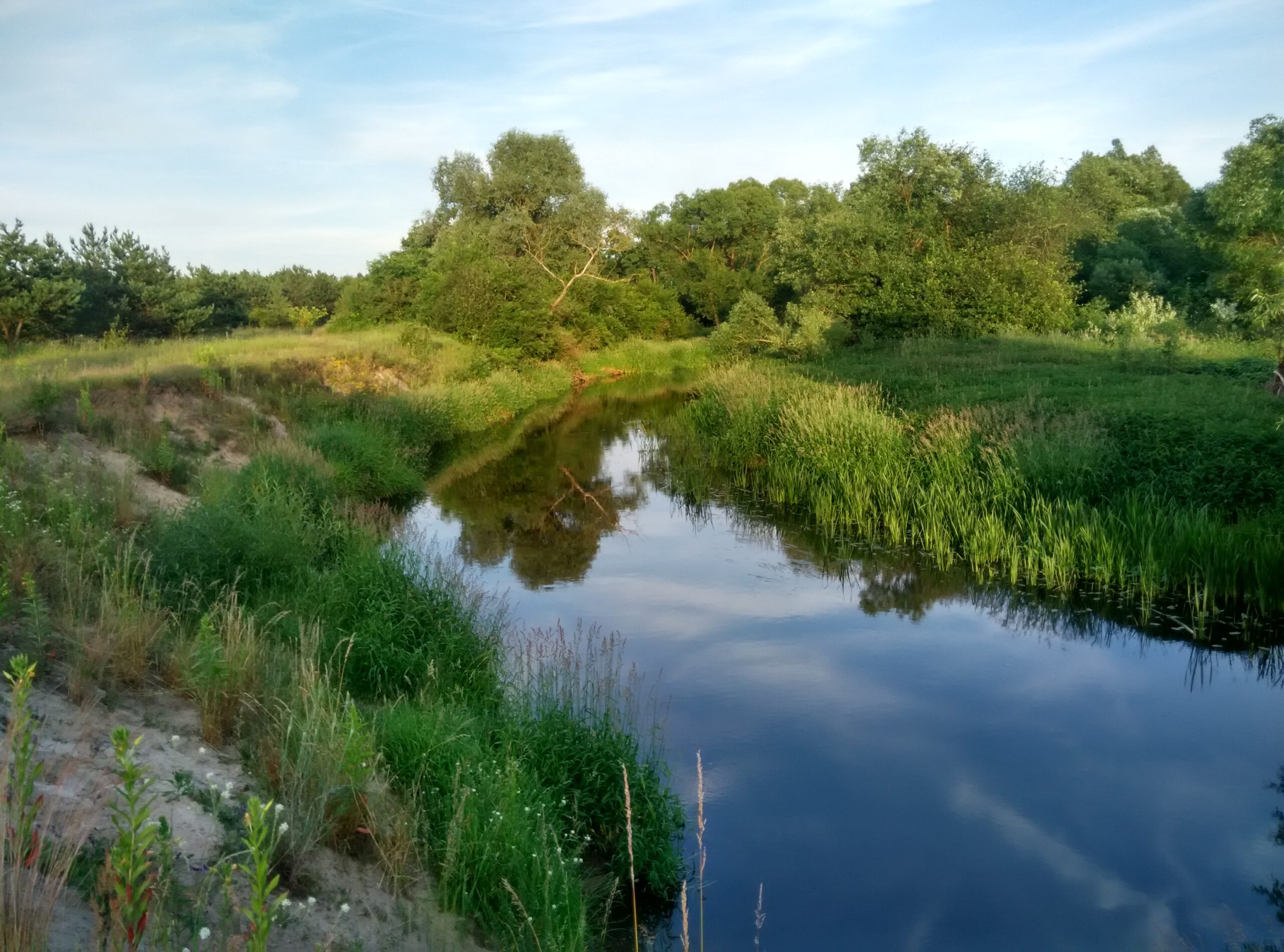 IMG_20170621_194255_HDR