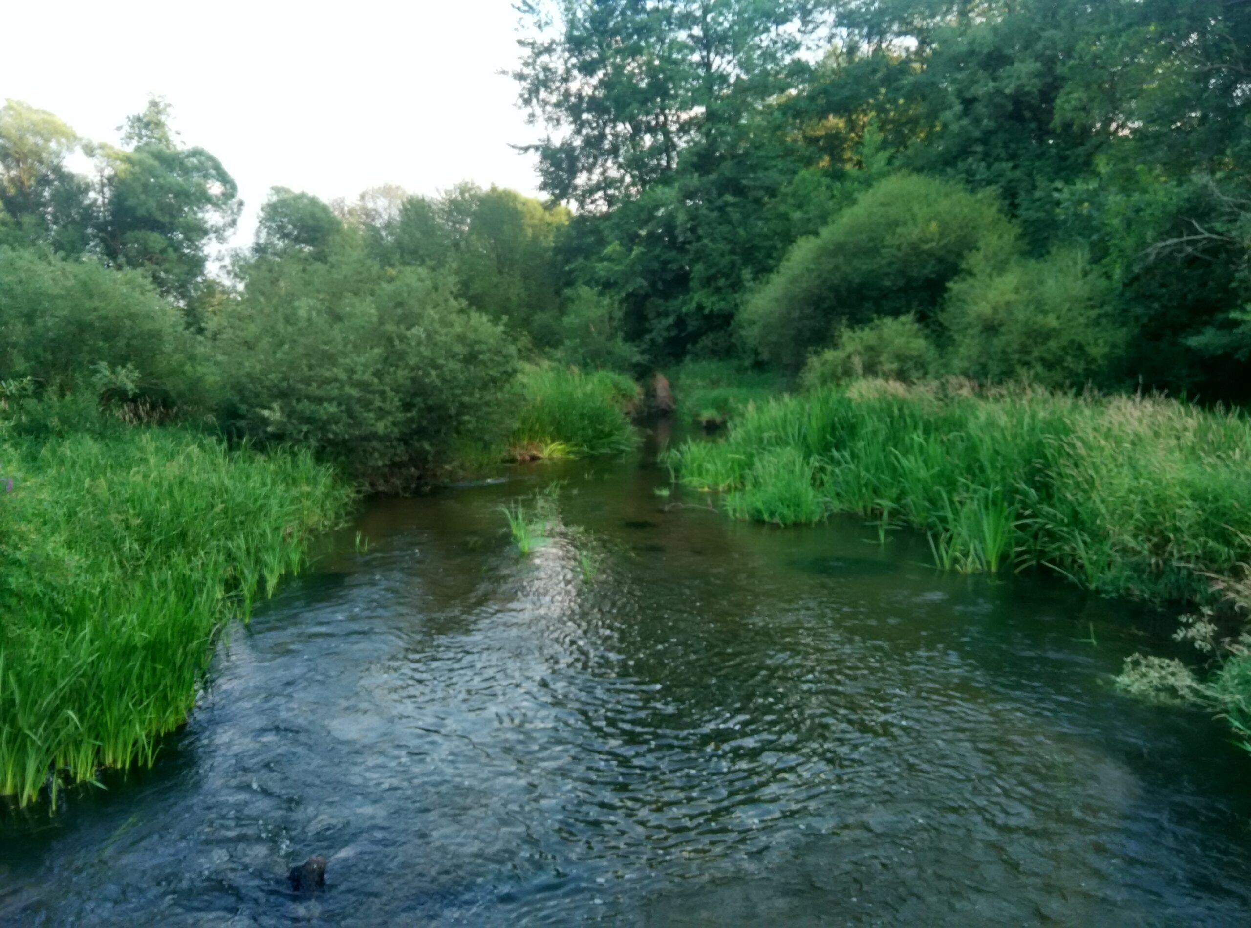 IMG_20170709_191642_HDR