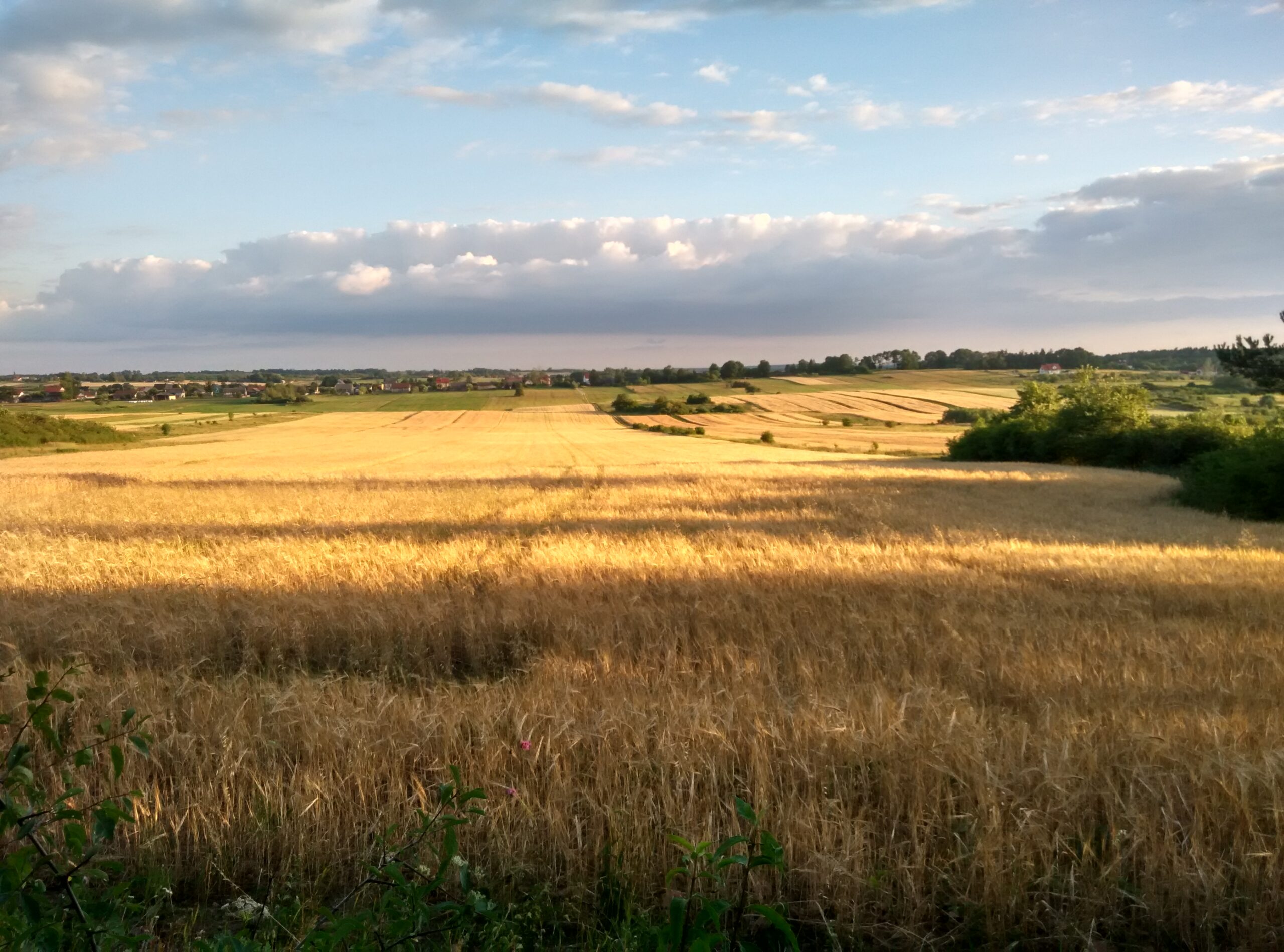 IMG_20170713_195114_HDR