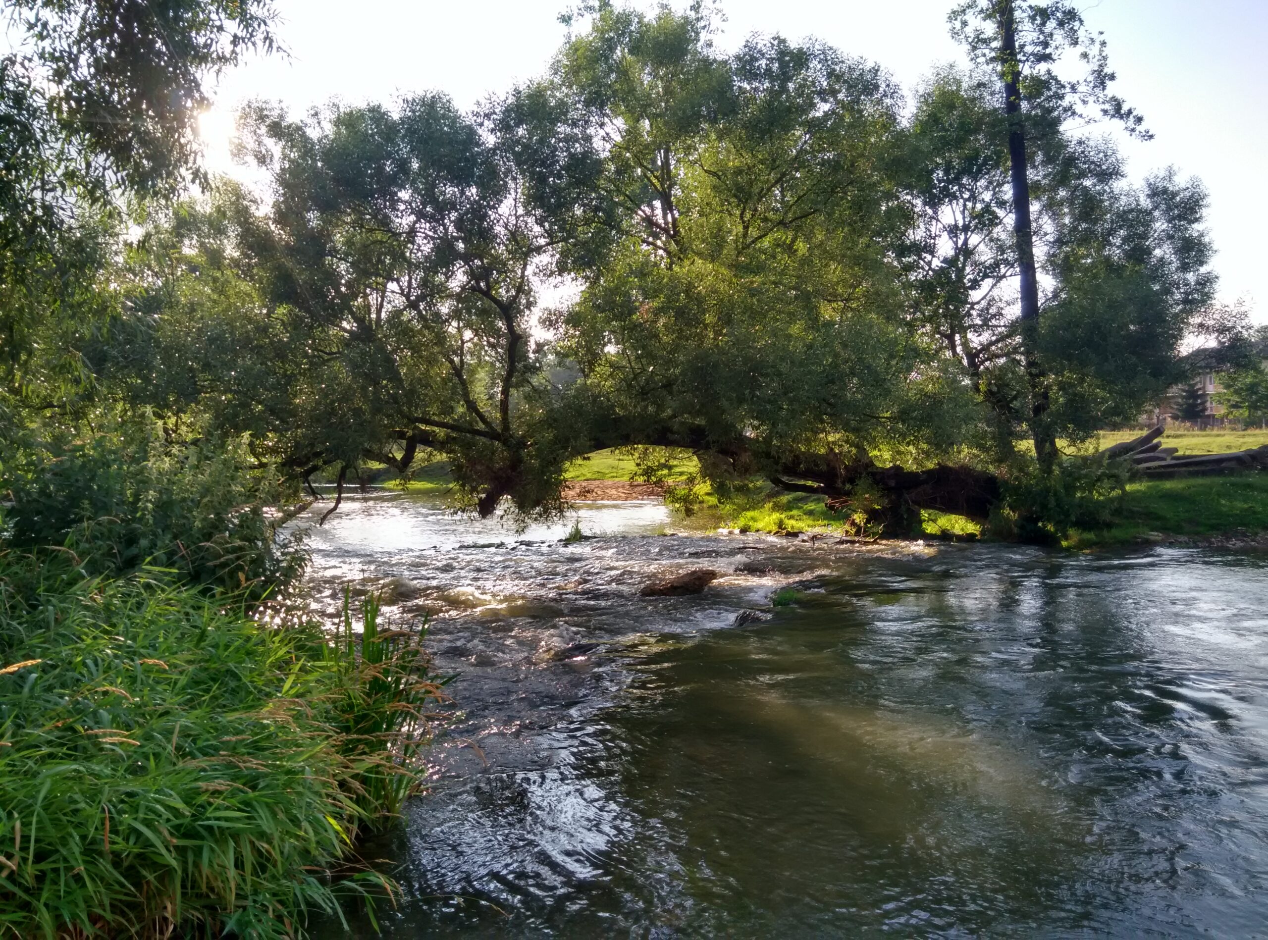 IMG_20170721_184100_HDR