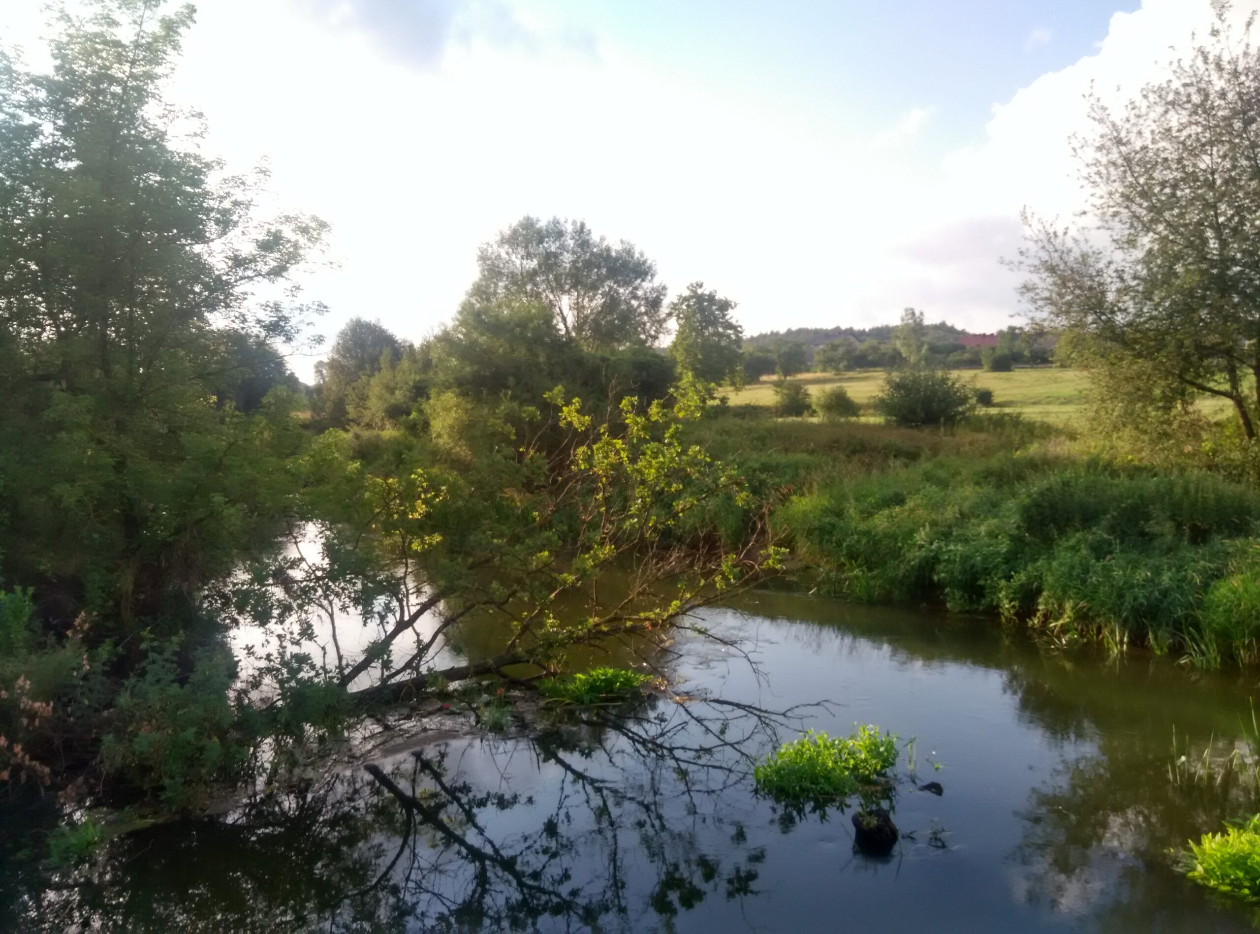 IMG_20170721_185507_HDR
