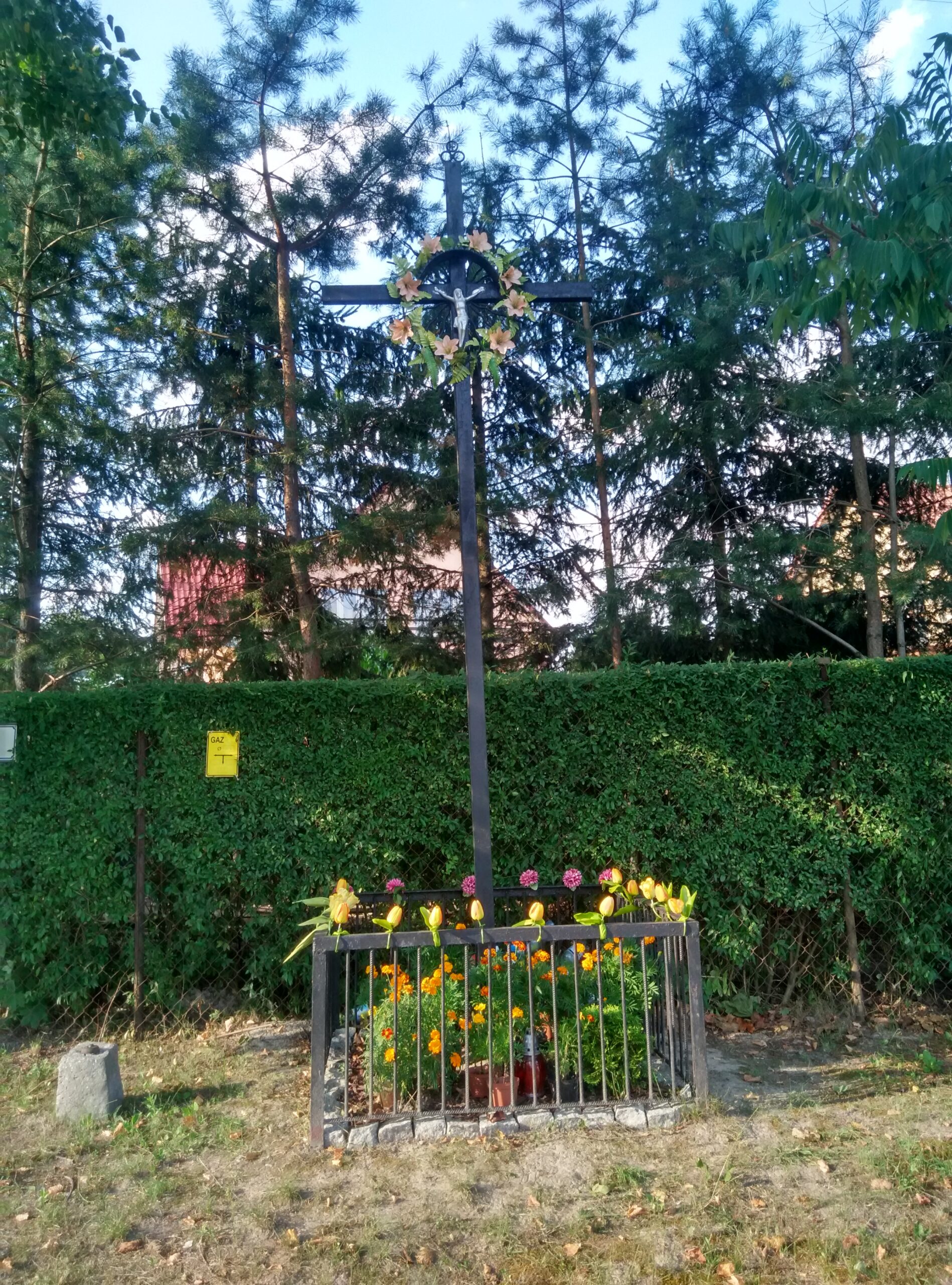 IMG_20170815_173320_HDR