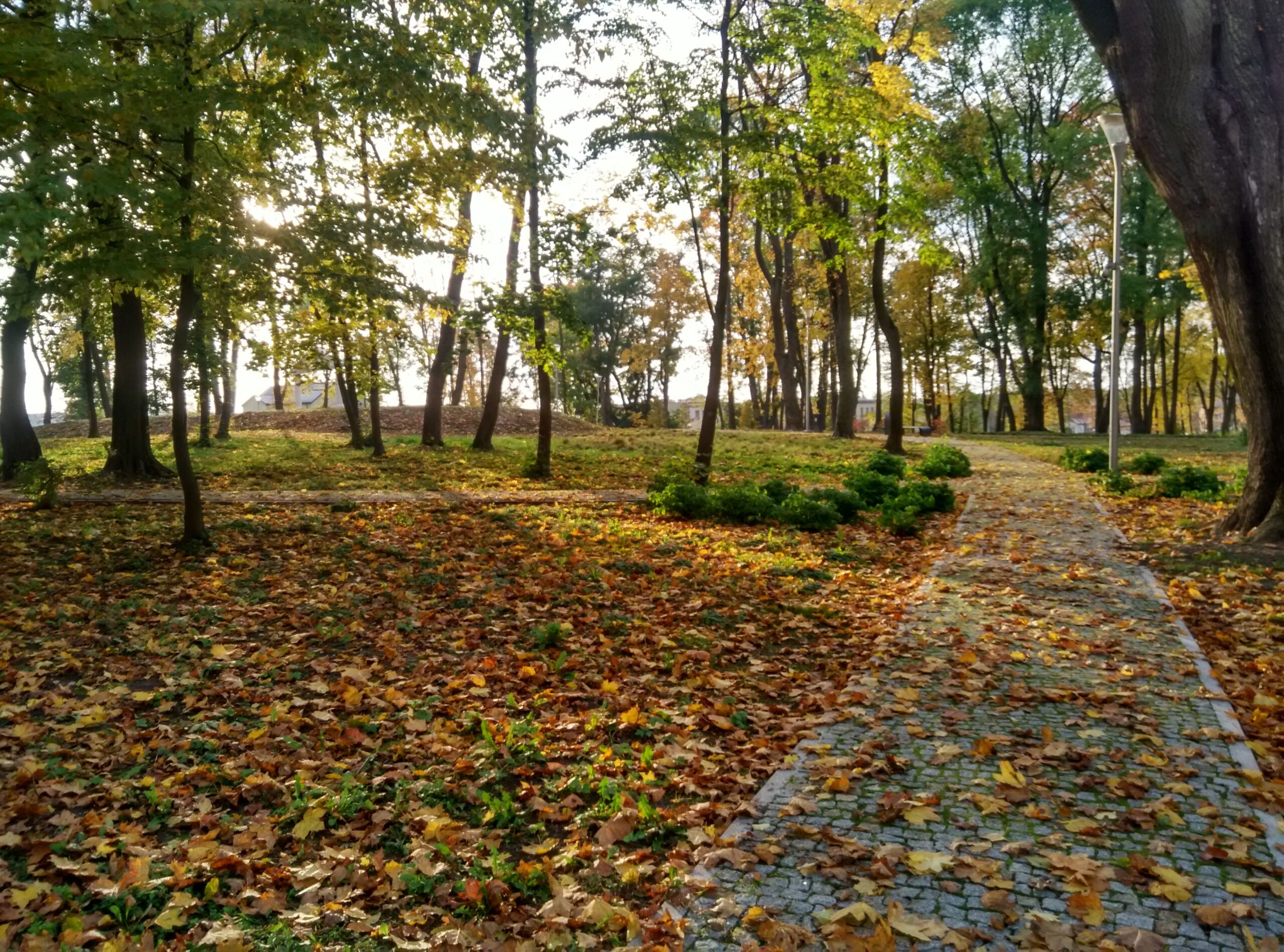 IMG_20171015_162932_HDR