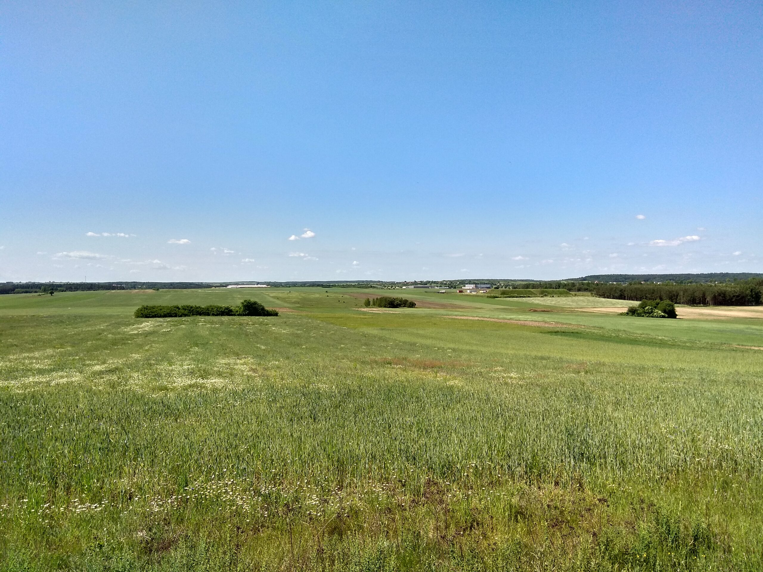 IMG_20180520_103623_HDR