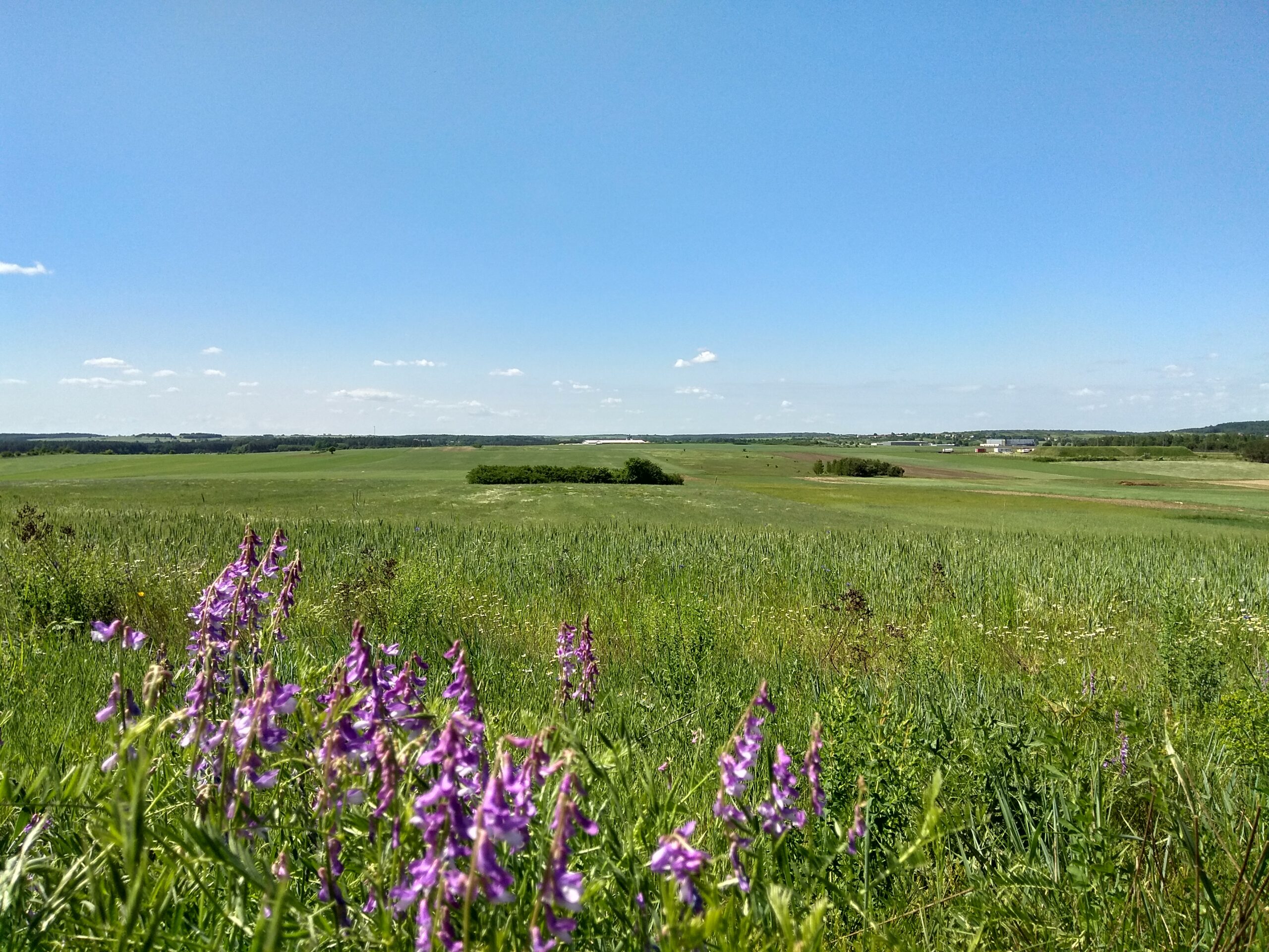IMG_20180520_103643_HDR