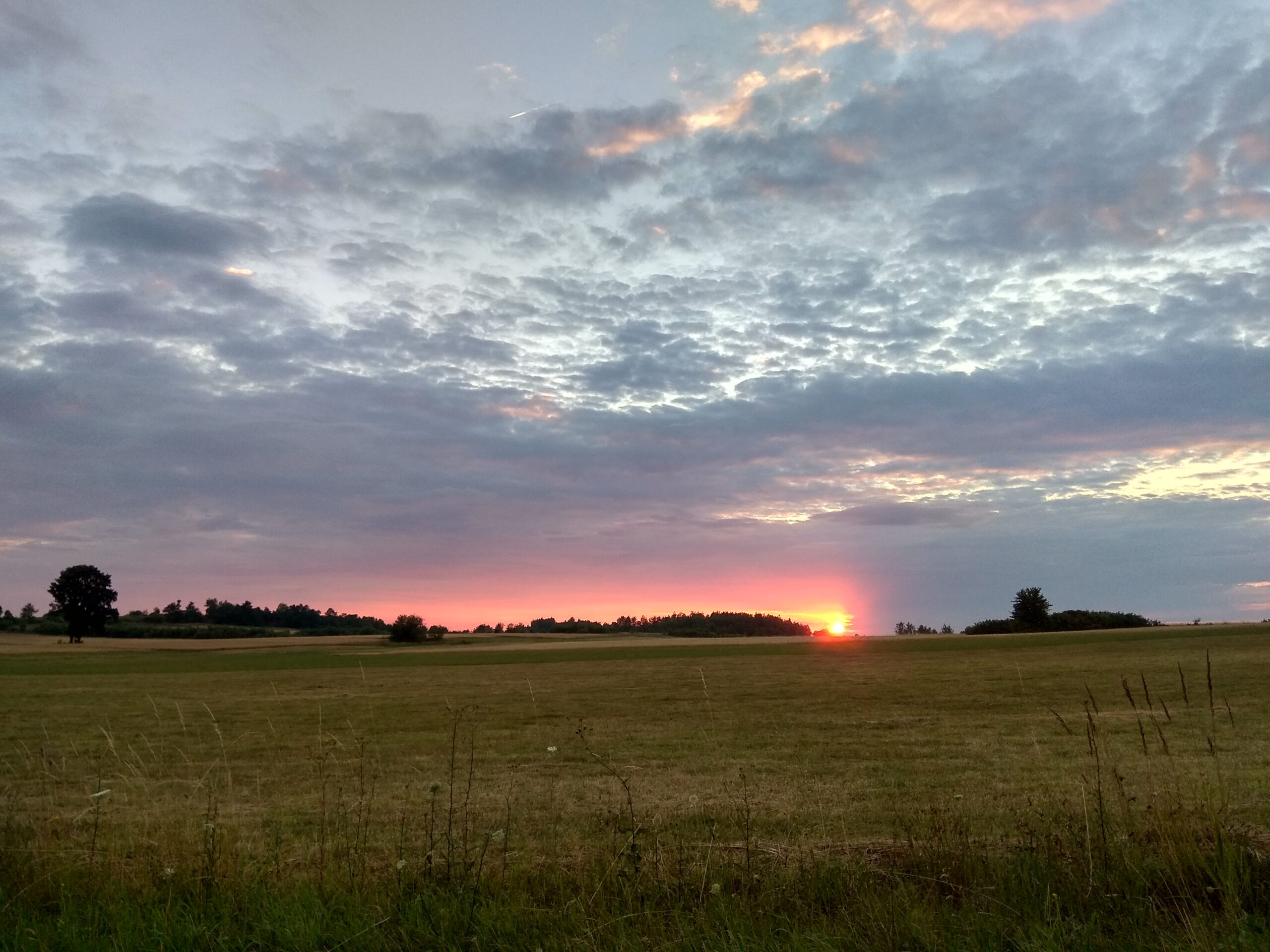 IMG_20180708_203855_HDR