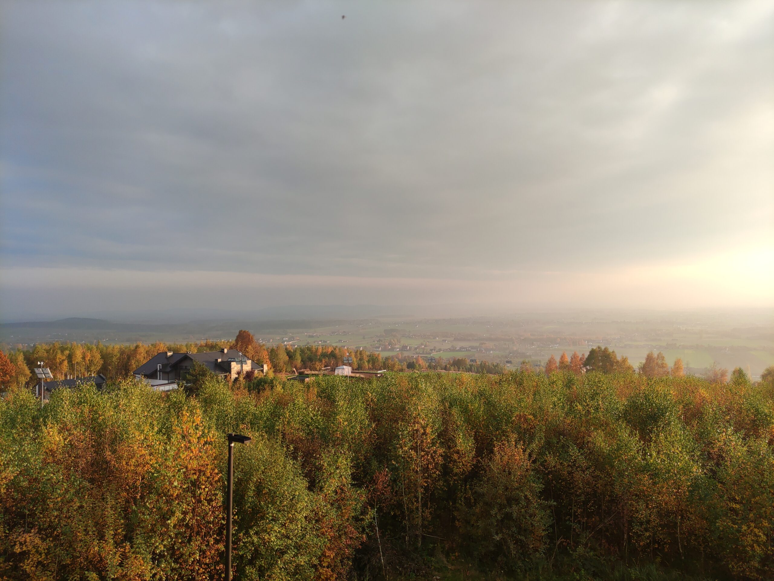 IMG_20201028_152056_1