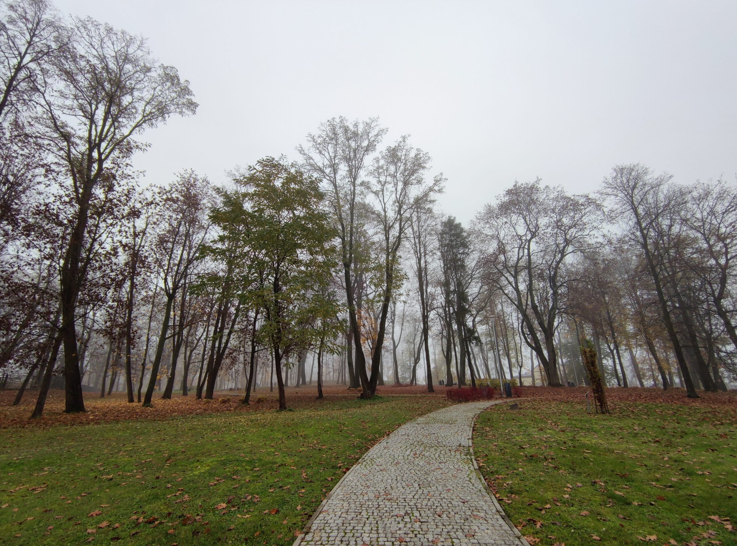 IMG_20201105_100944