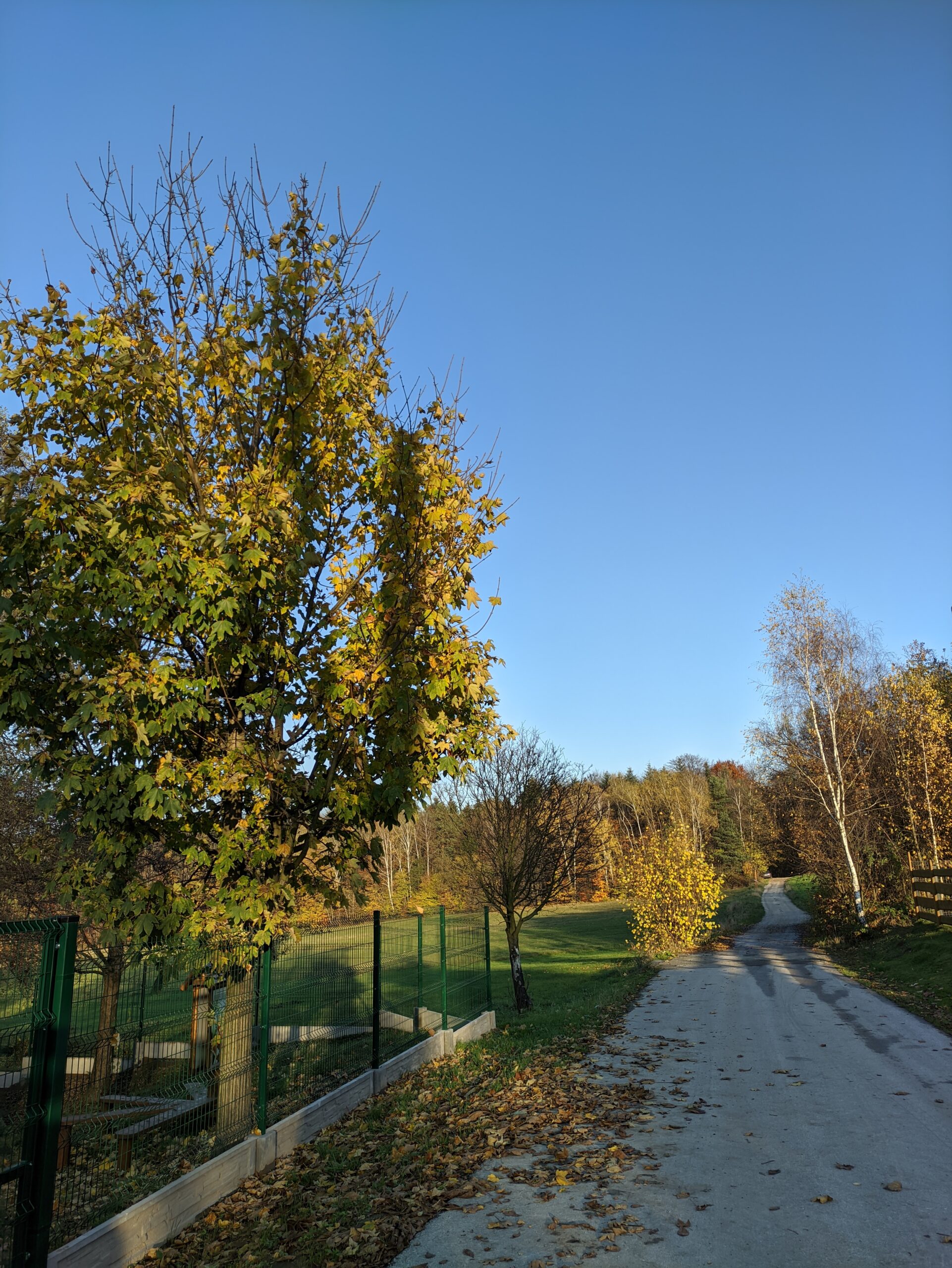 IMG_20201108_144706