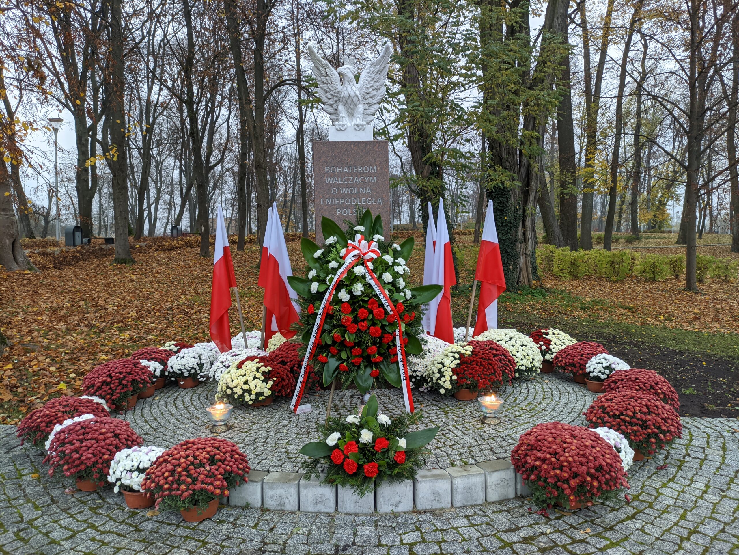 IMG_20201111_153343