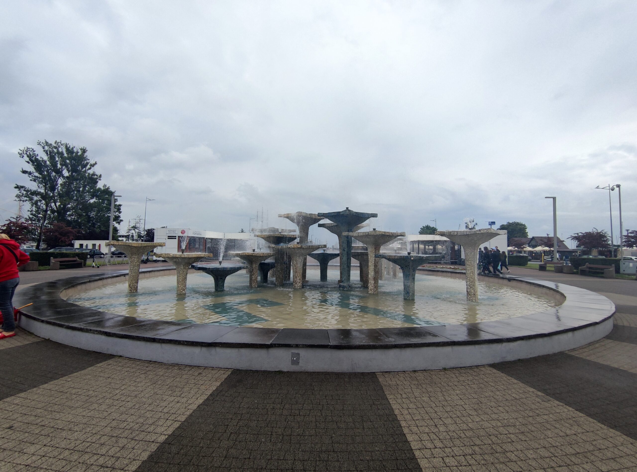 IMG_20210612_104951