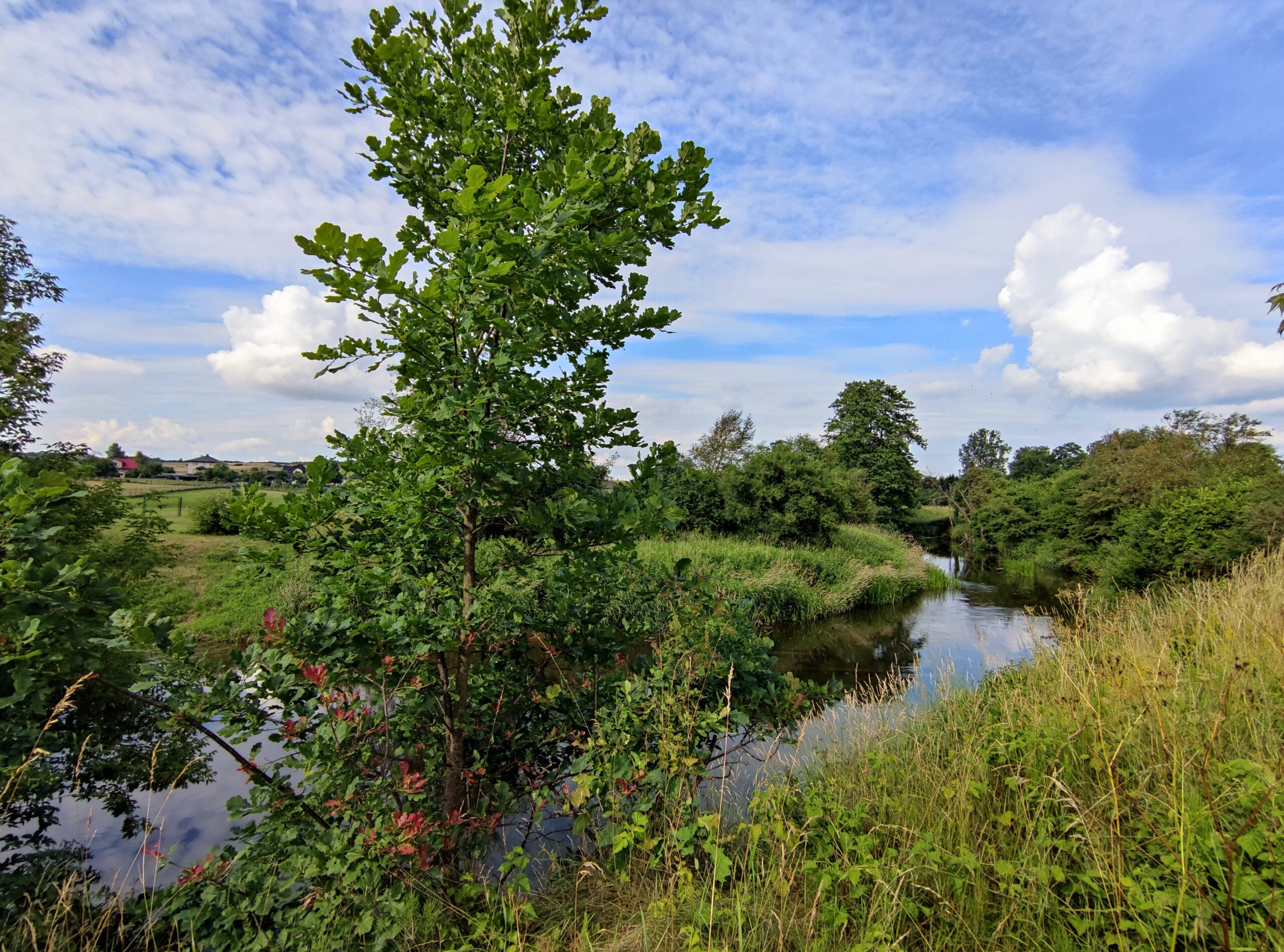 IMG_20210704_165110