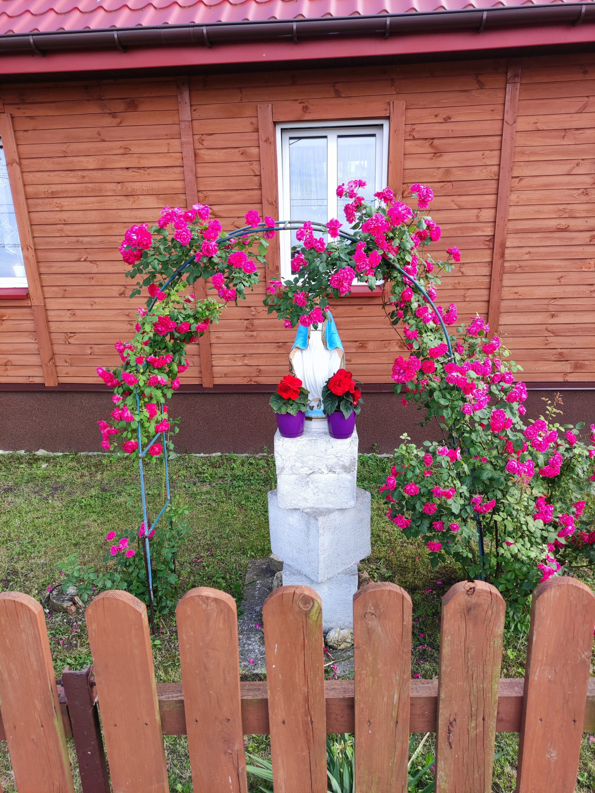 IMG_20210704_170348