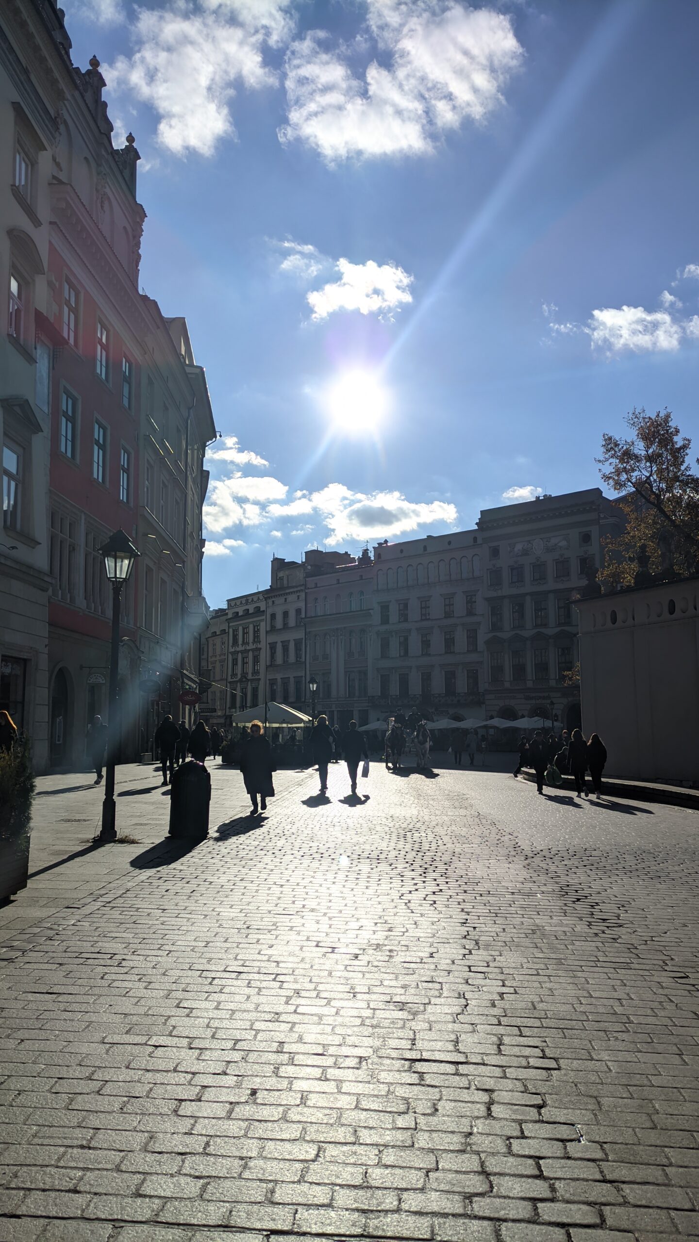 IMG_20211106_130337692