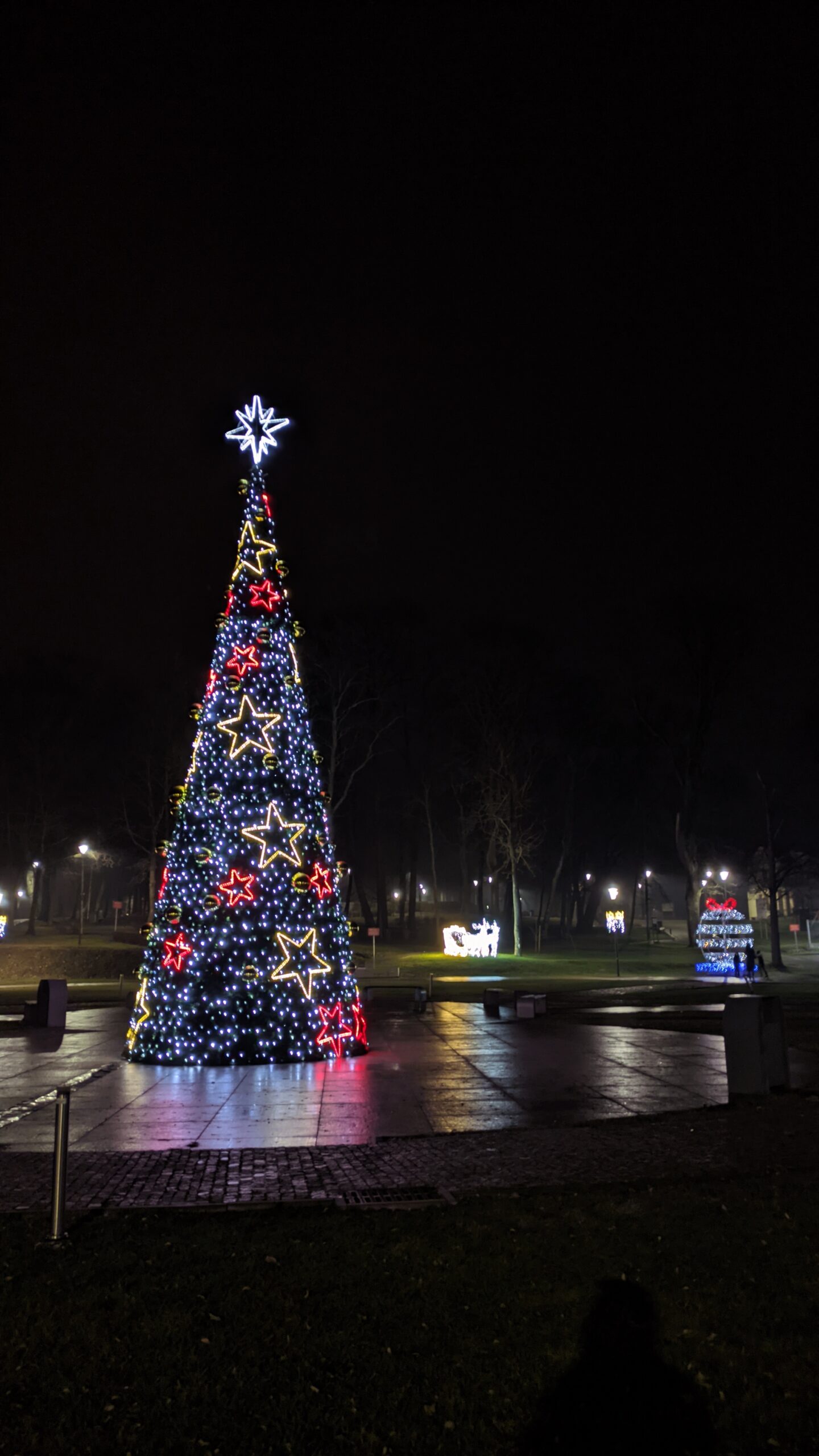 IMG_20211205_174600058