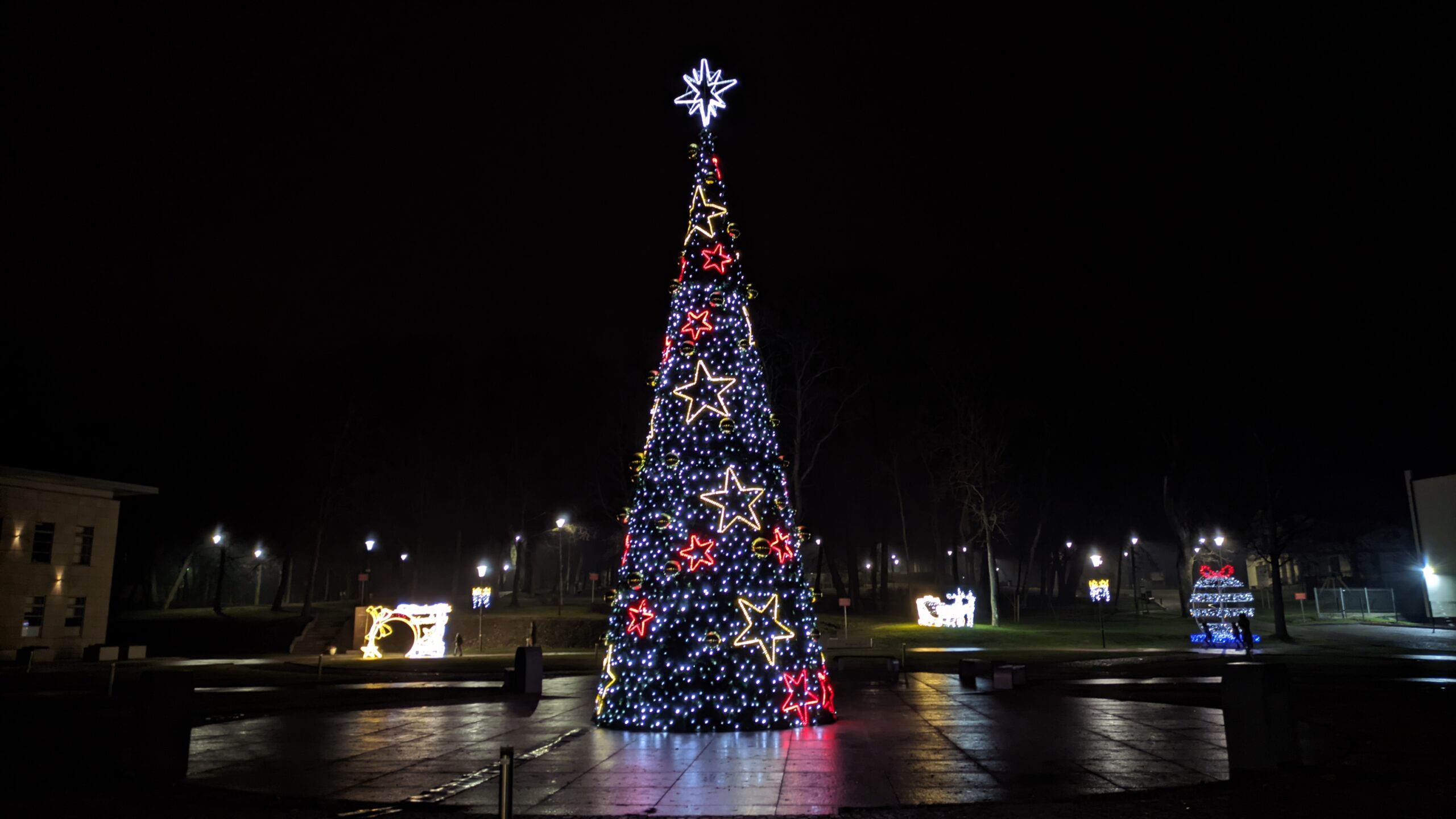 IMG_20211205_174620205.NIGHT